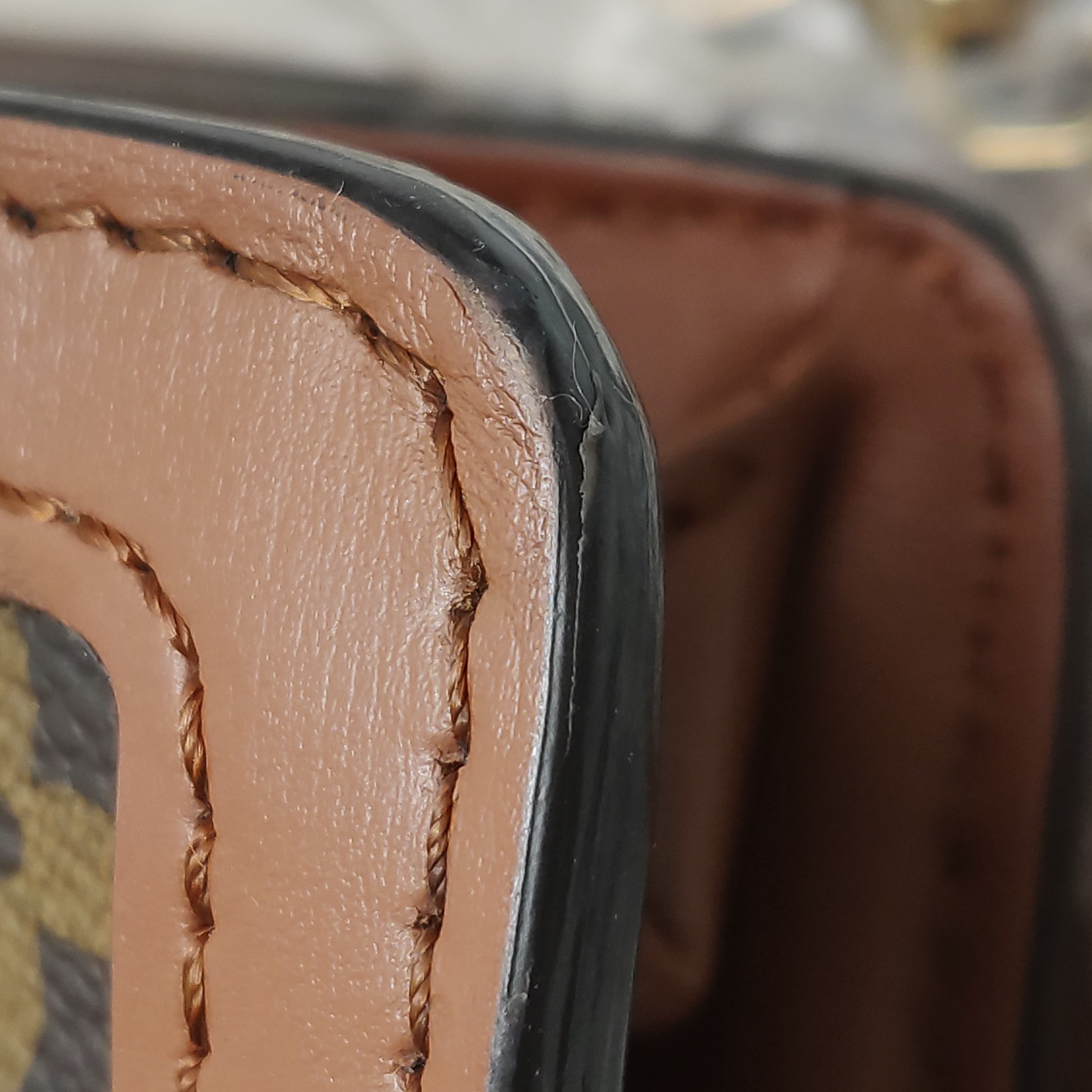Louis Vuitton(LV) Dauphine Shoulder Bag Reverse Monogram Canvas MM — photo 14 of 22