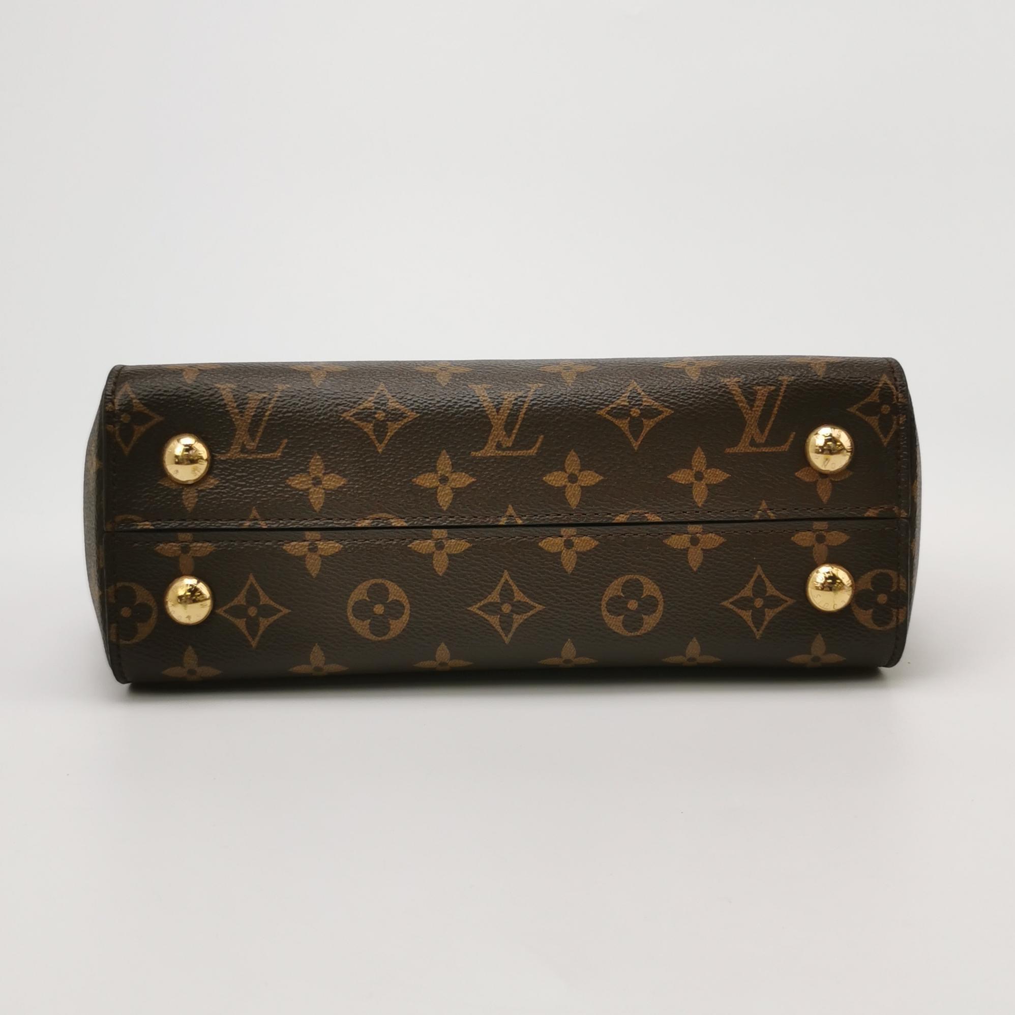 Louis Vuitton(LV) Cluny Top Handle Bag Monogram Canvas BB — photo 6 of 18