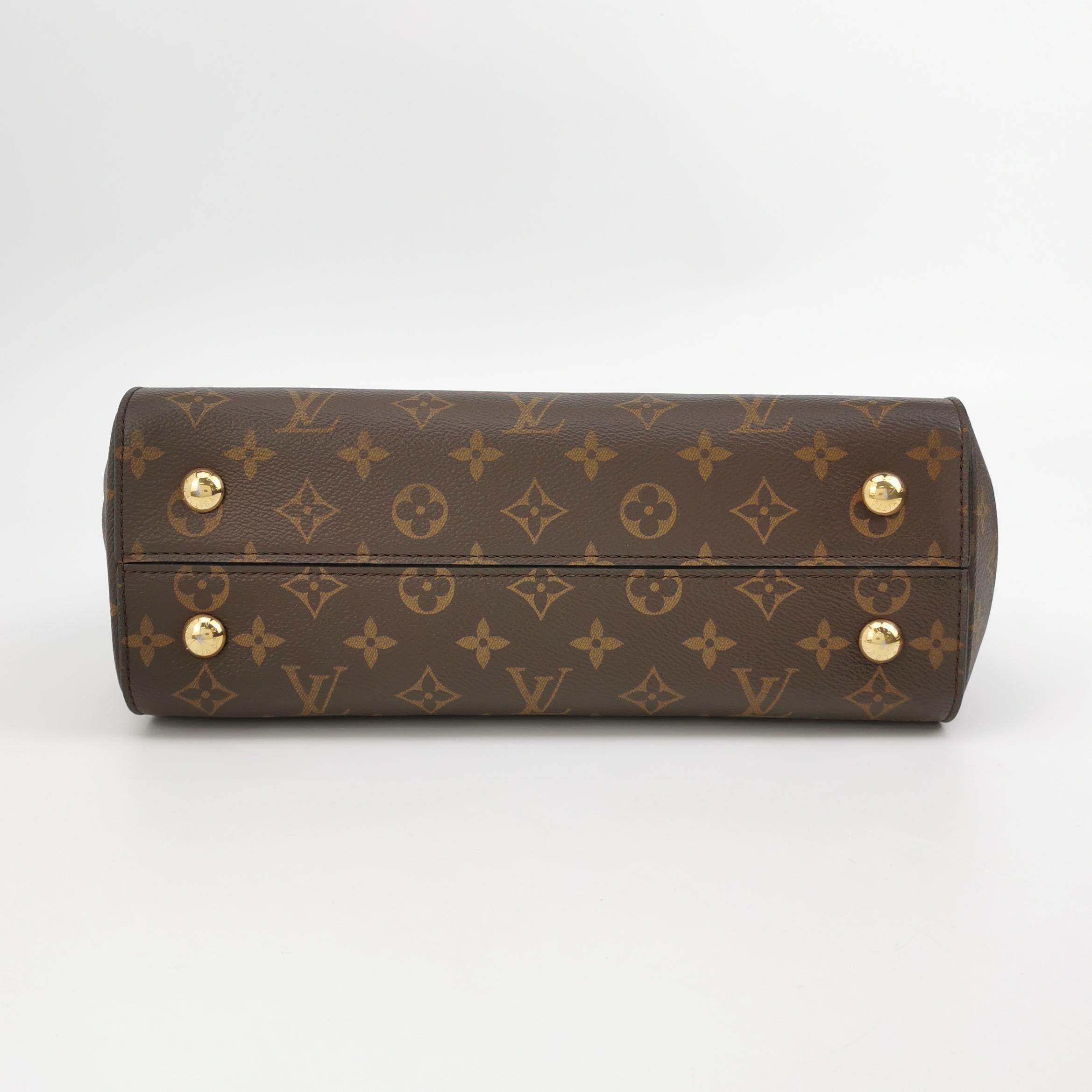 Louis Vuitton(LV) Cluny Top Handle Bag Monogram Canvas MM — photo 6 of 21