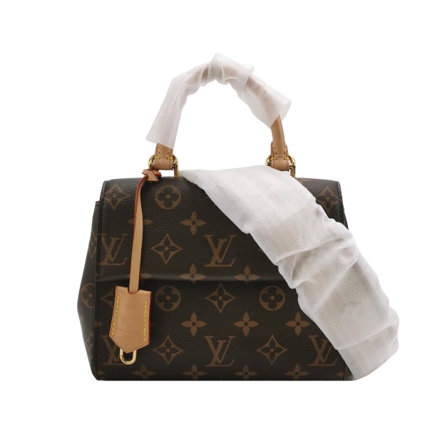 Louis Vuitton(LV) Cluny Top Handle NM Bag Monogram Canvas Mini — pre-owned, Vierlot