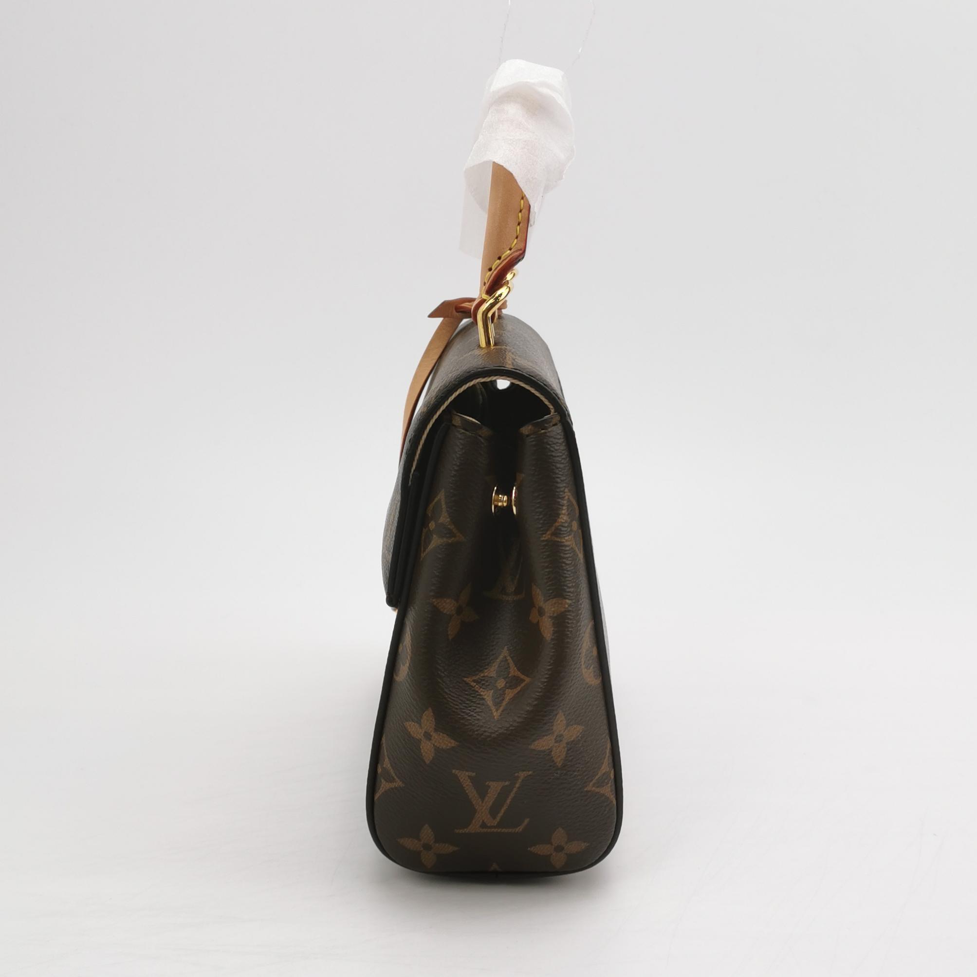 Louis Vuitton(LV) Cluny Top Handle NM Bag Monogram Canvas Mini — photo 3 of 21