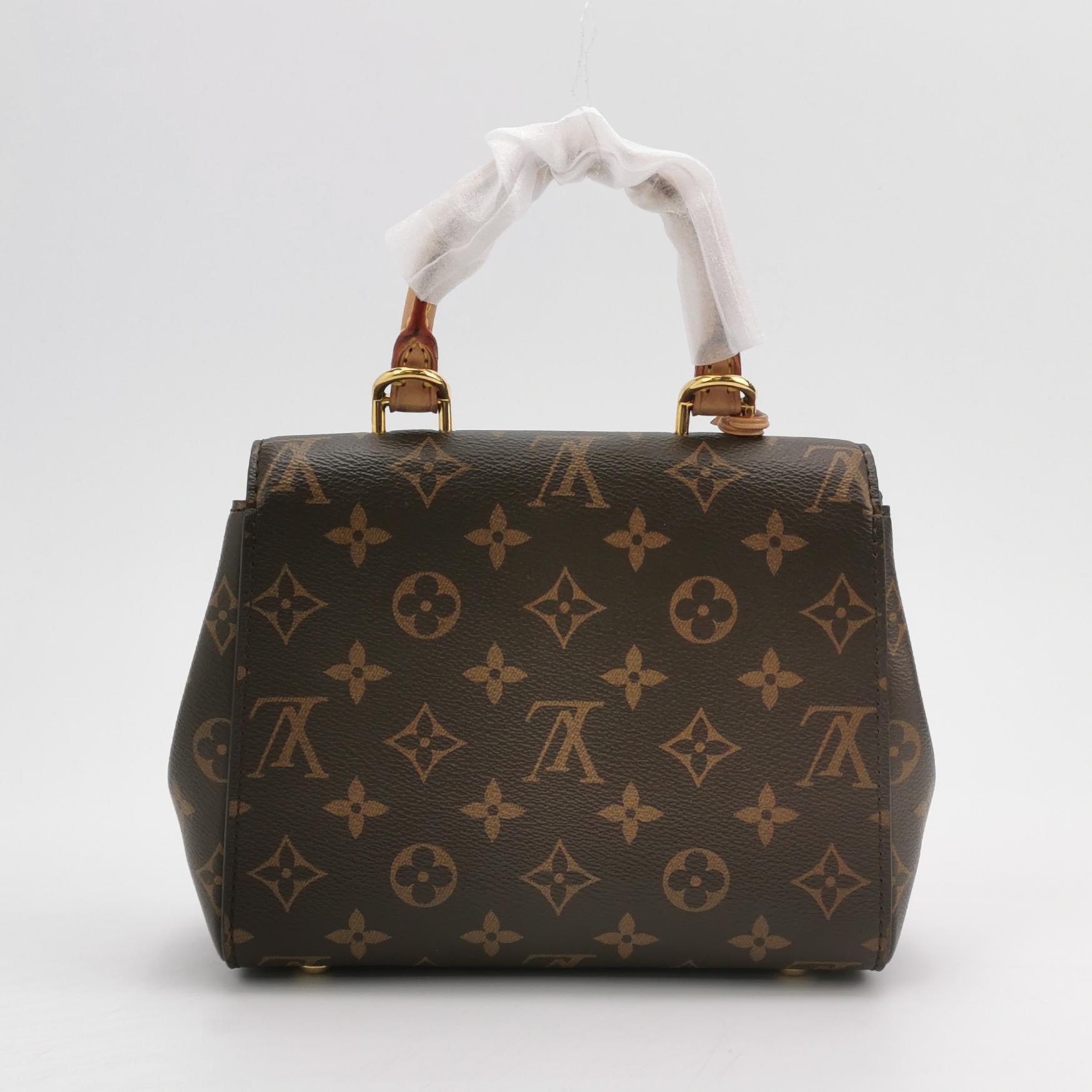 Louis Vuitton(LV) Cluny Top Handle NM Bag Monogram Canvas Mini — photo 5 of 21
