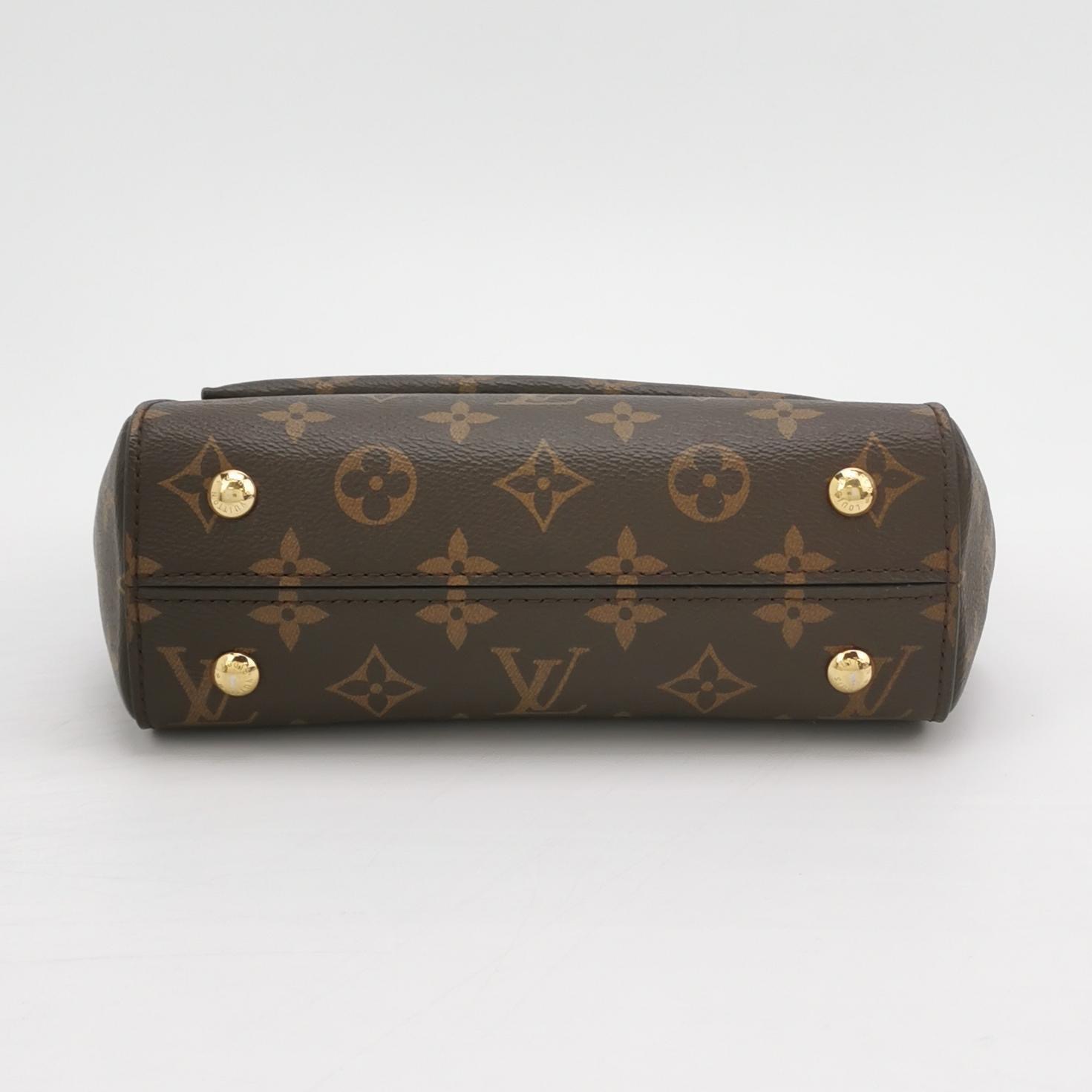 Louis Vuitton(LV) Cluny Top Handle NM Bag Monogram Canvas Mini — photo 6 of 21