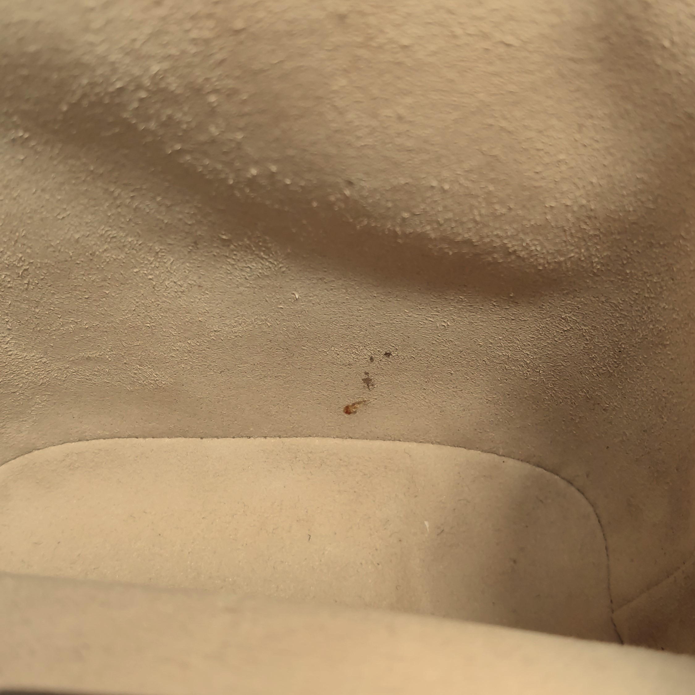 Gucci Ophidia Bucket Bag GG Coated Canvas Mini — photo 9 of 11