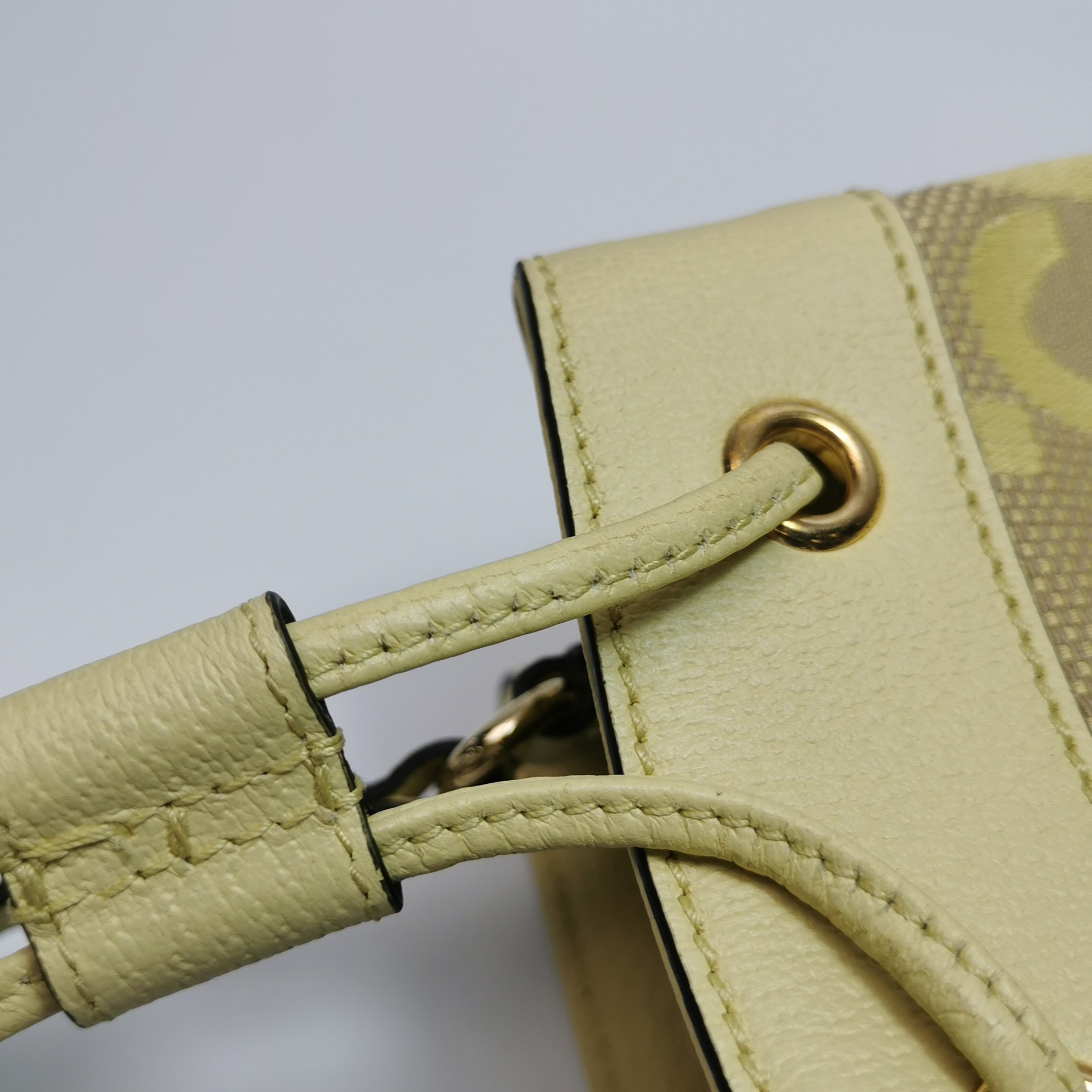 Gucci Ophidia Bucket Bag Jumbo GG Canvas with Leather Mini — photo 13 of 15