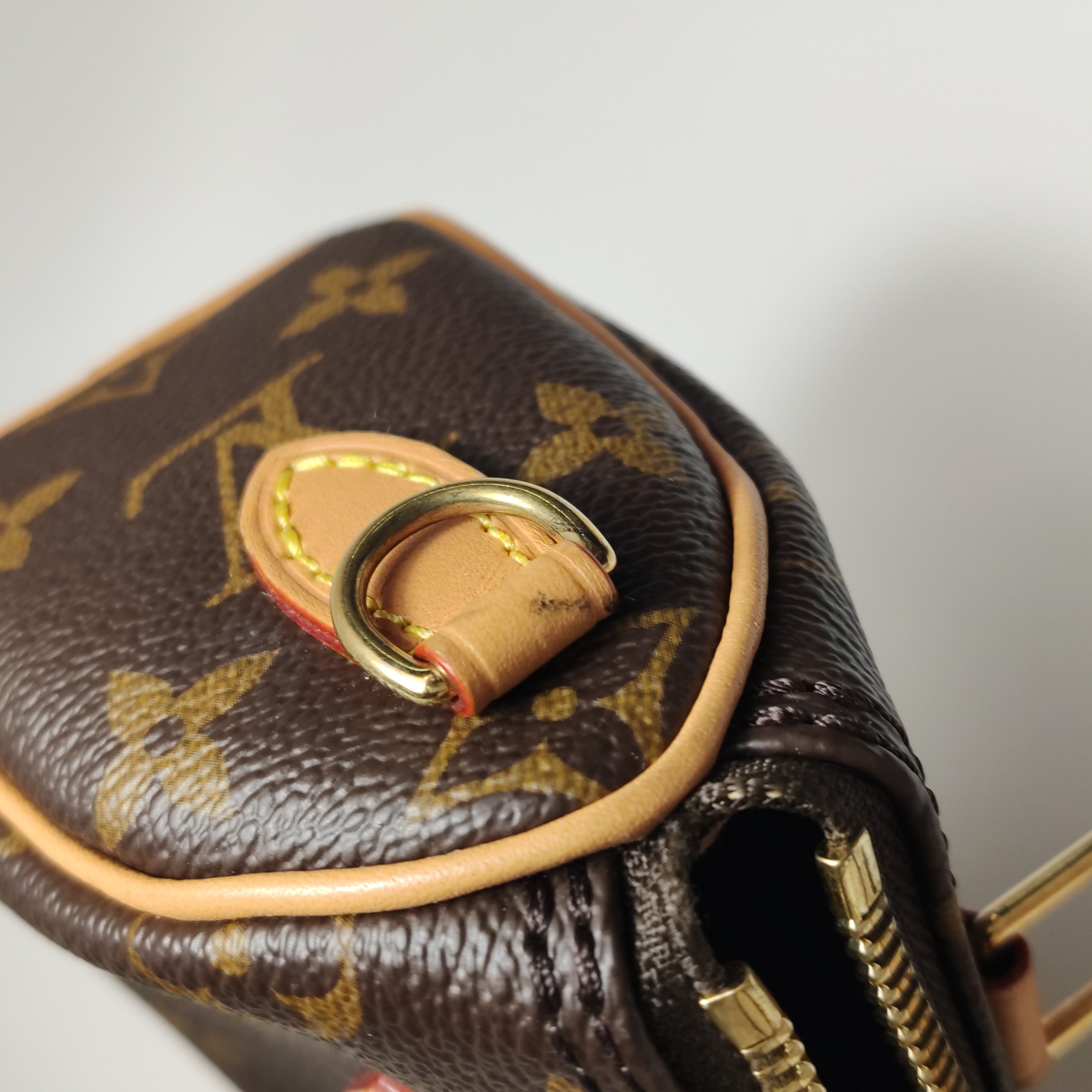 Louis Vuitton(LV) Speedy Bandouliere NM Bag Monogram Canvas Nano — photo 18 of 22
