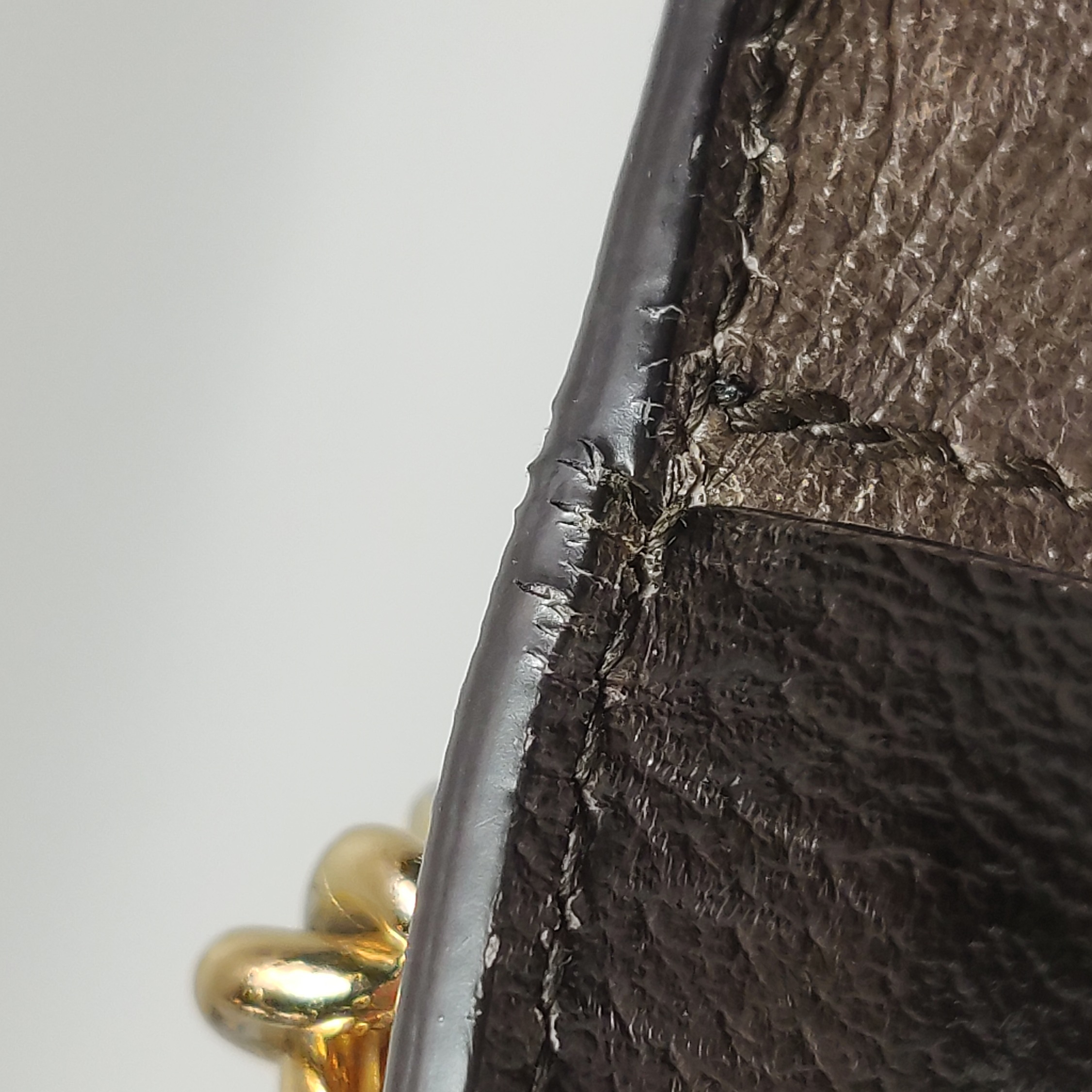 Gucci Padlock Shoulder Bag Tian Print GG Coated Canvas Small — photo 14 of 14