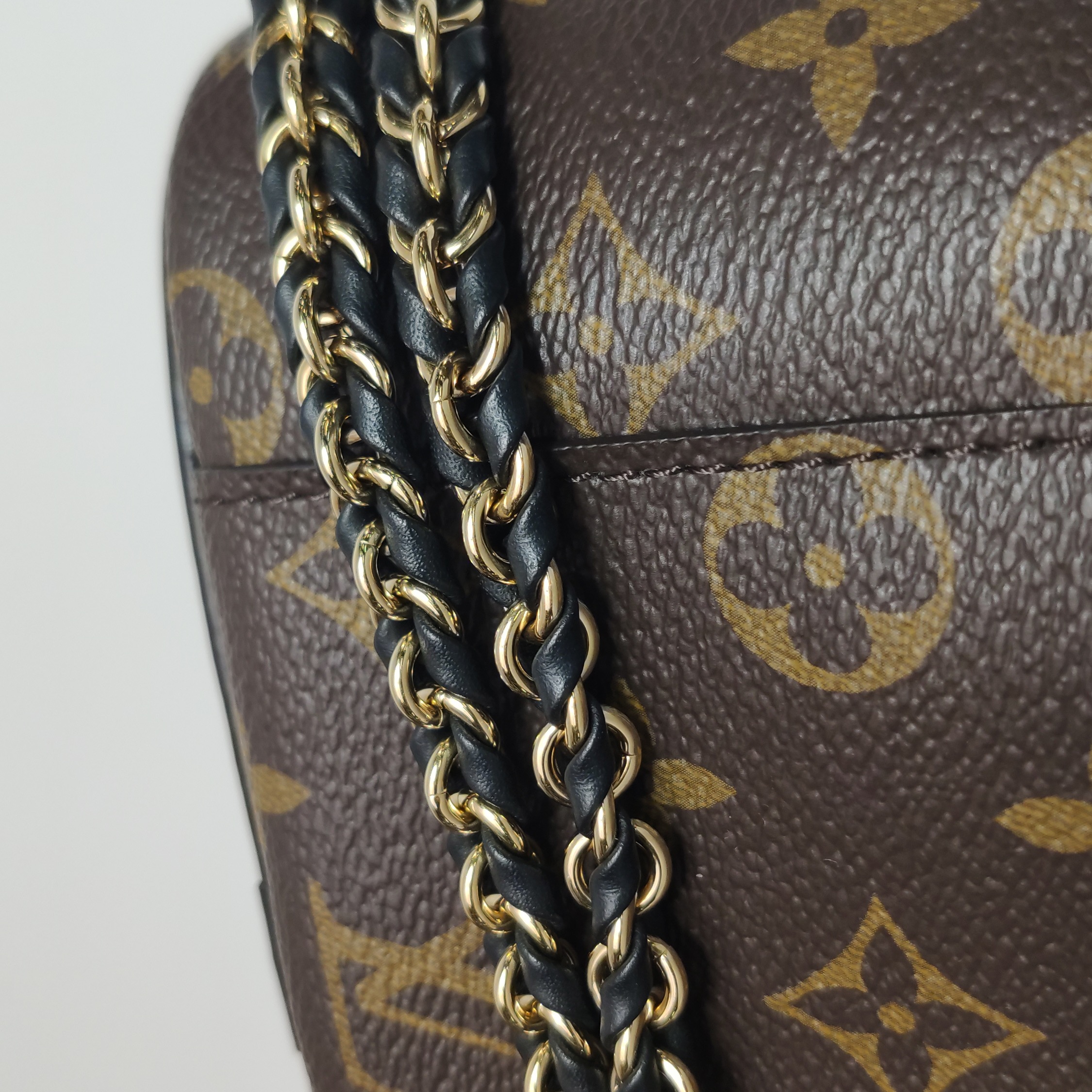 Louis Vuitton(LV) Vanity Handbag Reverse Monogram Canvas PM — photo 11 of 22