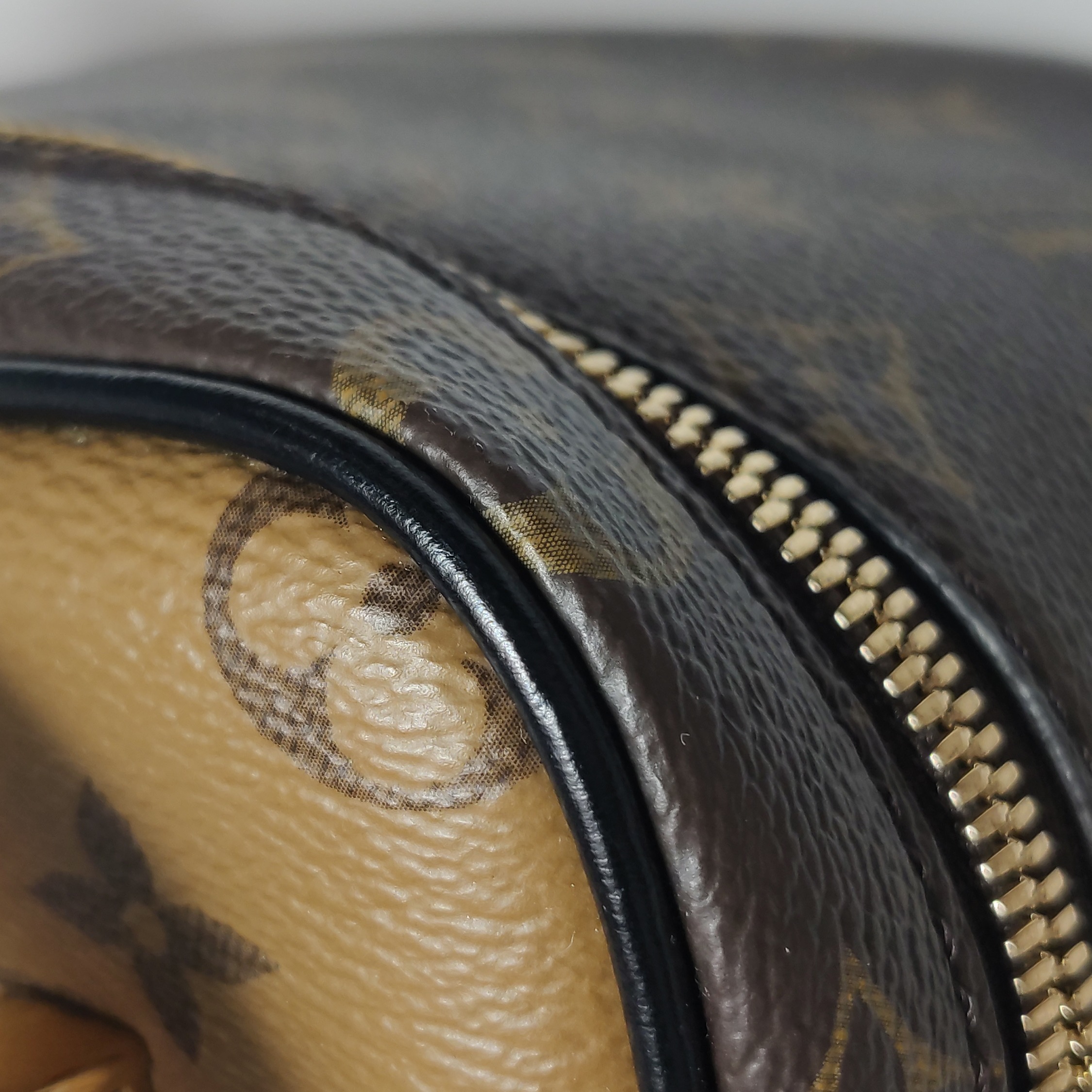 Louis Vuitton(LV) Vanity Handbag Reverse Monogram Canvas PM — photo 21 of 22