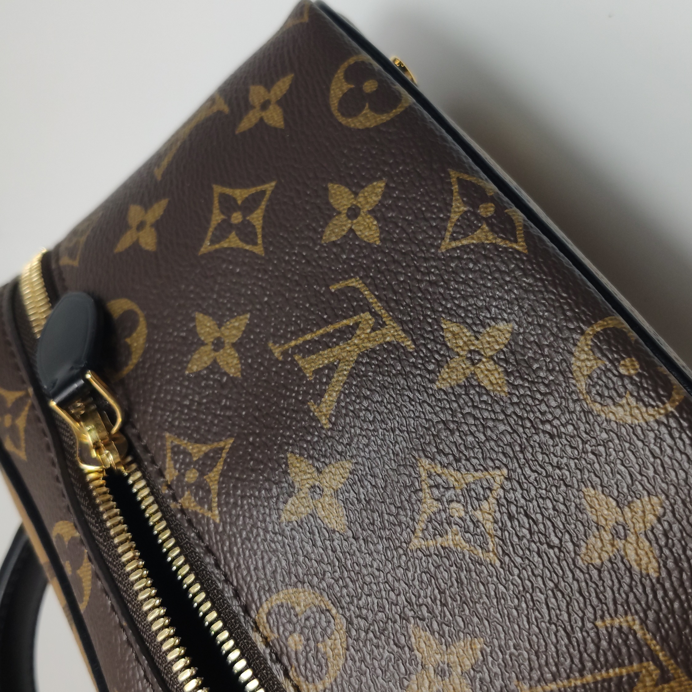 Louis Vuitton(LV) Vanity Handbag Reverse Monogram Canvas PM — photo 12 of 22