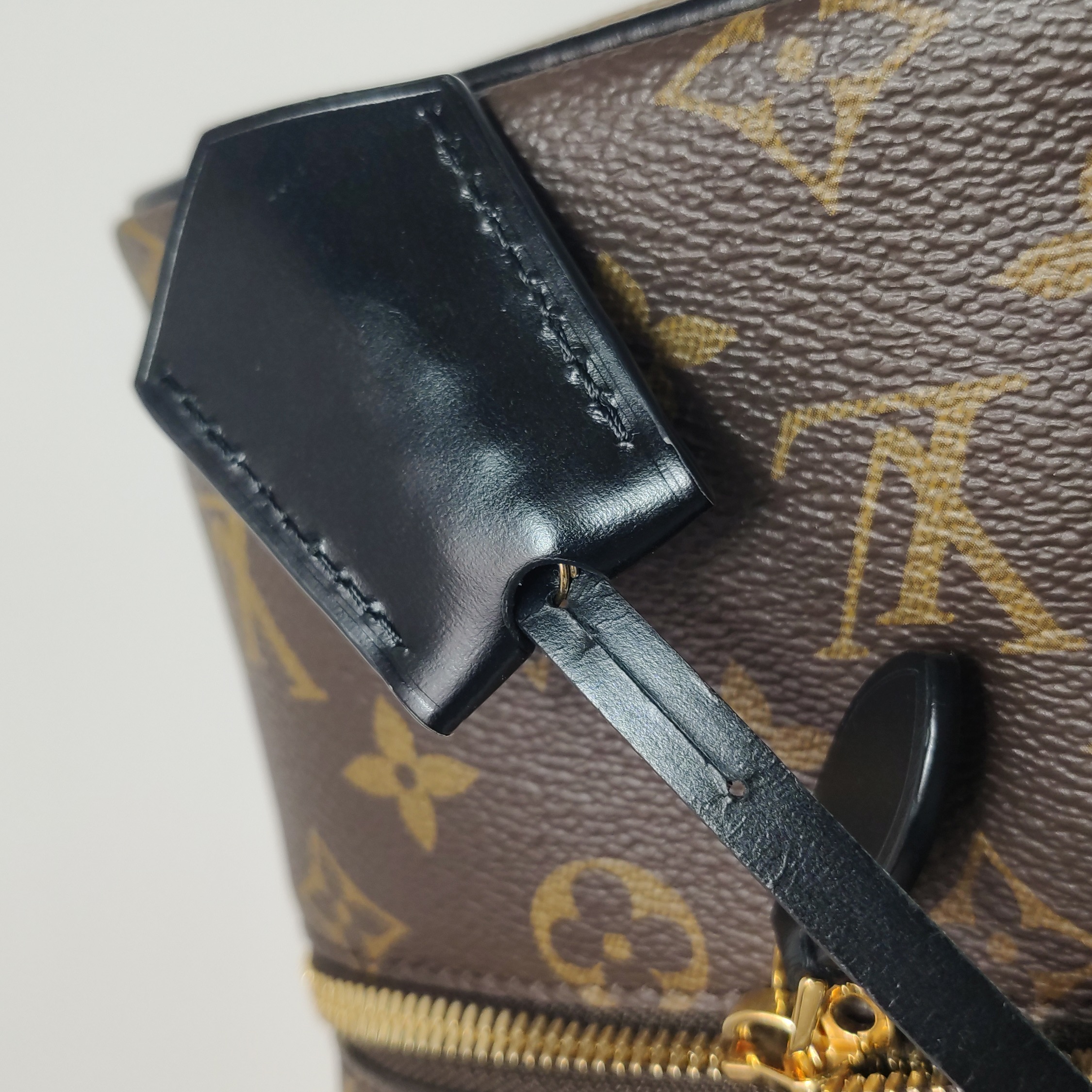 Louis Vuitton(LV) Vanity Handbag Reverse Monogram Canvas PM — photo 17 of 22