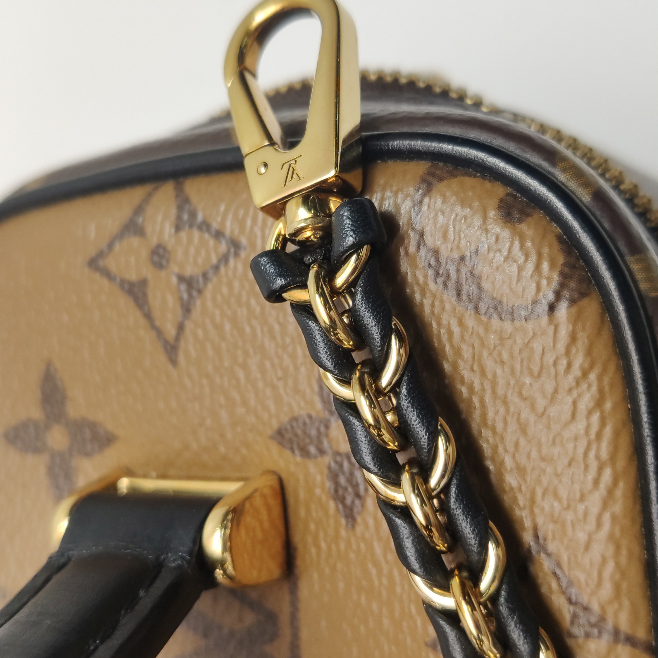 Louis Vuitton(LV) Vanity Handbag Reverse Monogram Canvas PM — photo 11 of 20