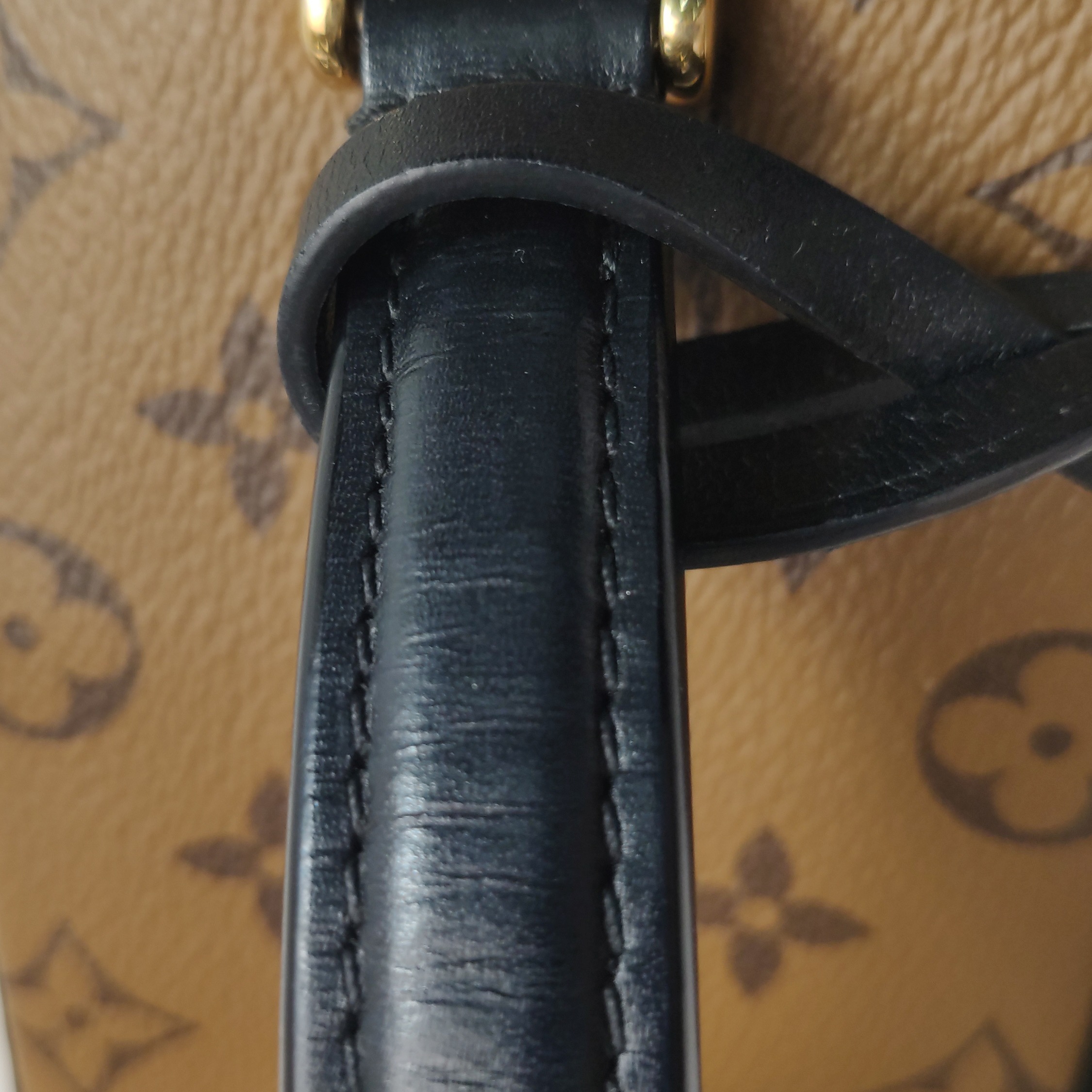 Louis Vuitton(LV) Vanity Handbag Reverse Monogram Canvas PM — photo 18 of 20