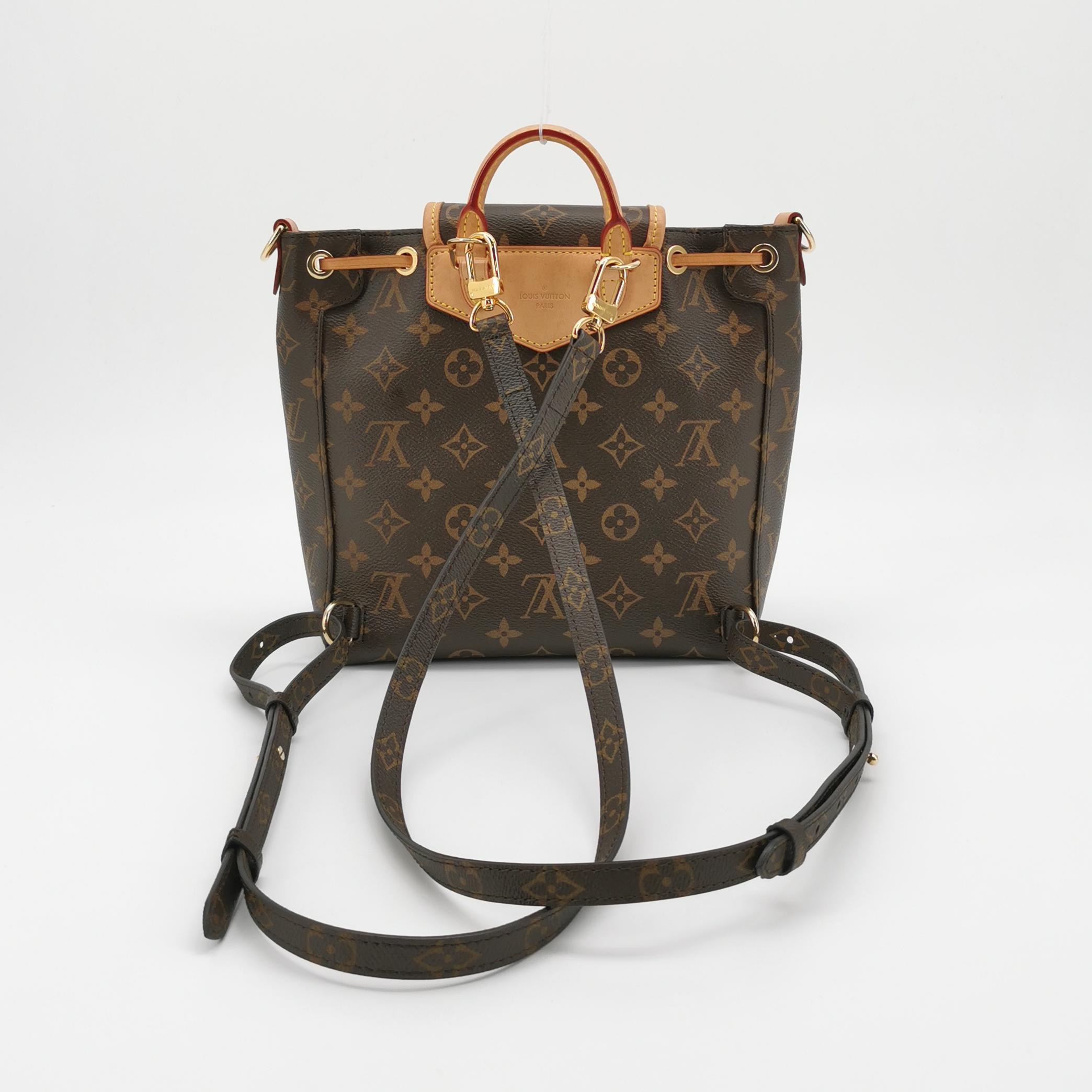 Louis Vuitton(LV) Excursion Backpack Monogram Canvas PM — photo 5 of 24