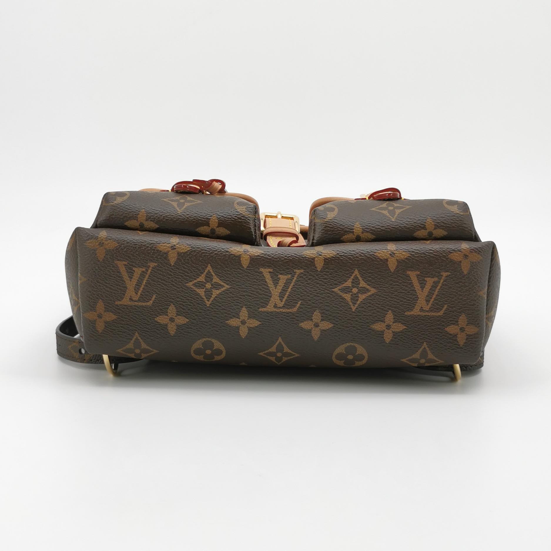 Louis Vuitton(LV) Excursion Backpack Monogram Canvas PM — photo 6 of 24
