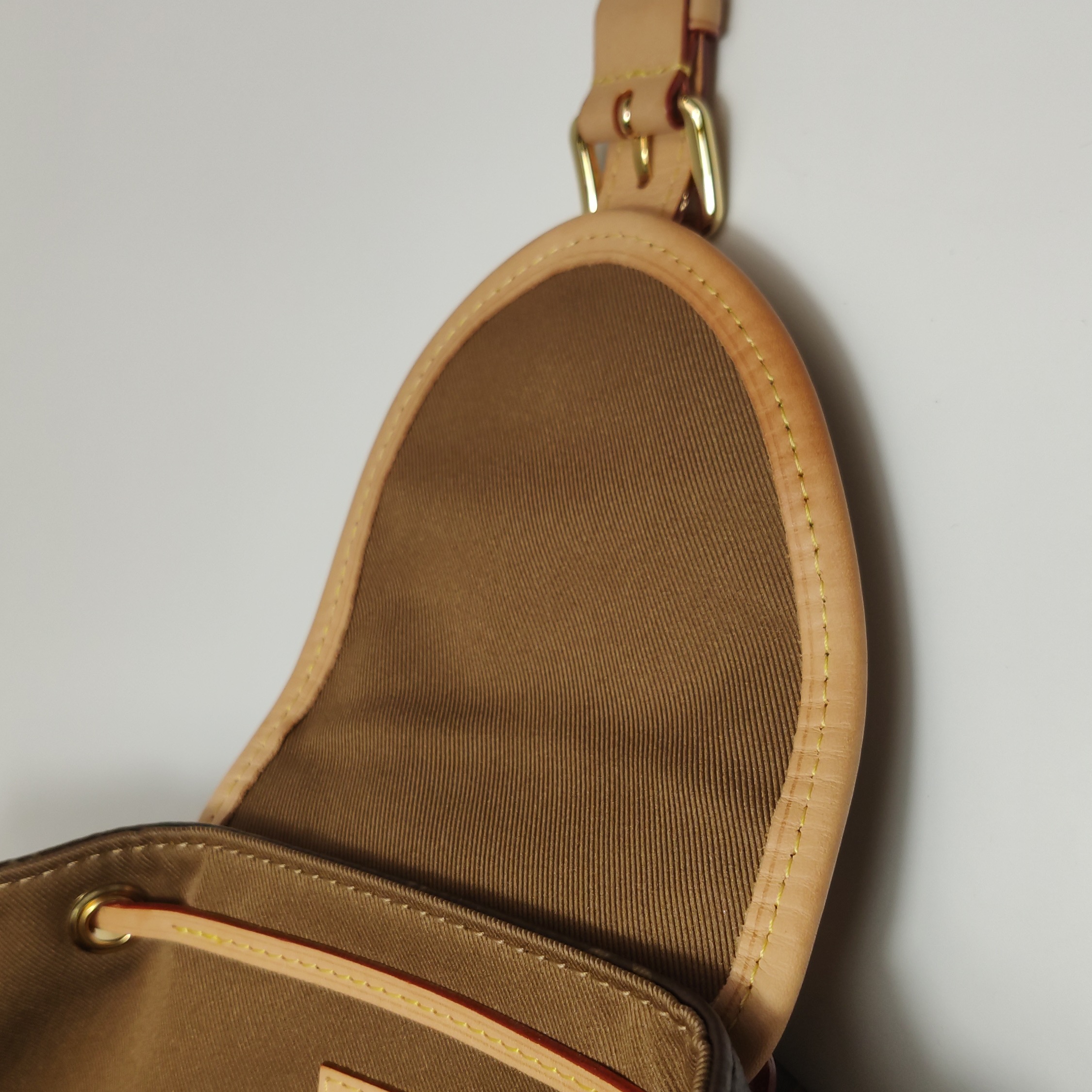 Louis Vuitton(LV) Excursion Backpack Monogram Canvas PM — photo 11 of 24