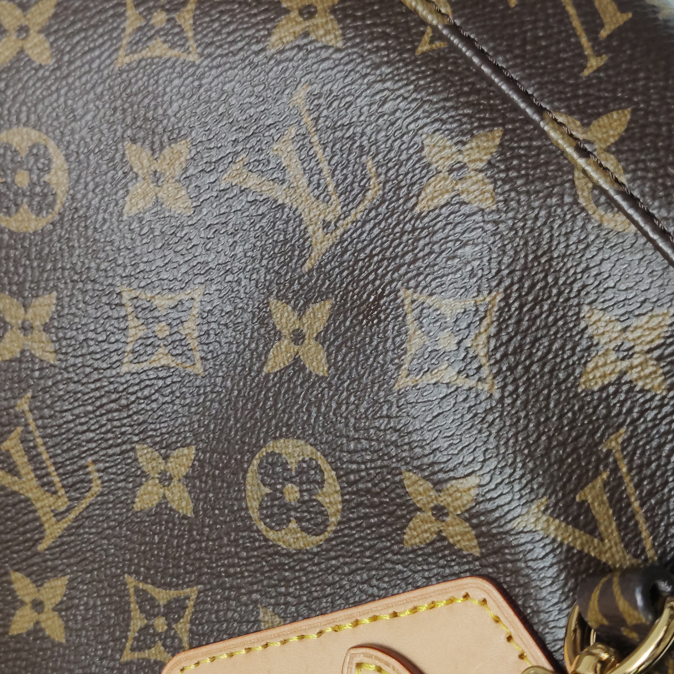 Louis Vuitton(LV) Excursion Backpack Monogram Canvas PM — photo 12 of 24