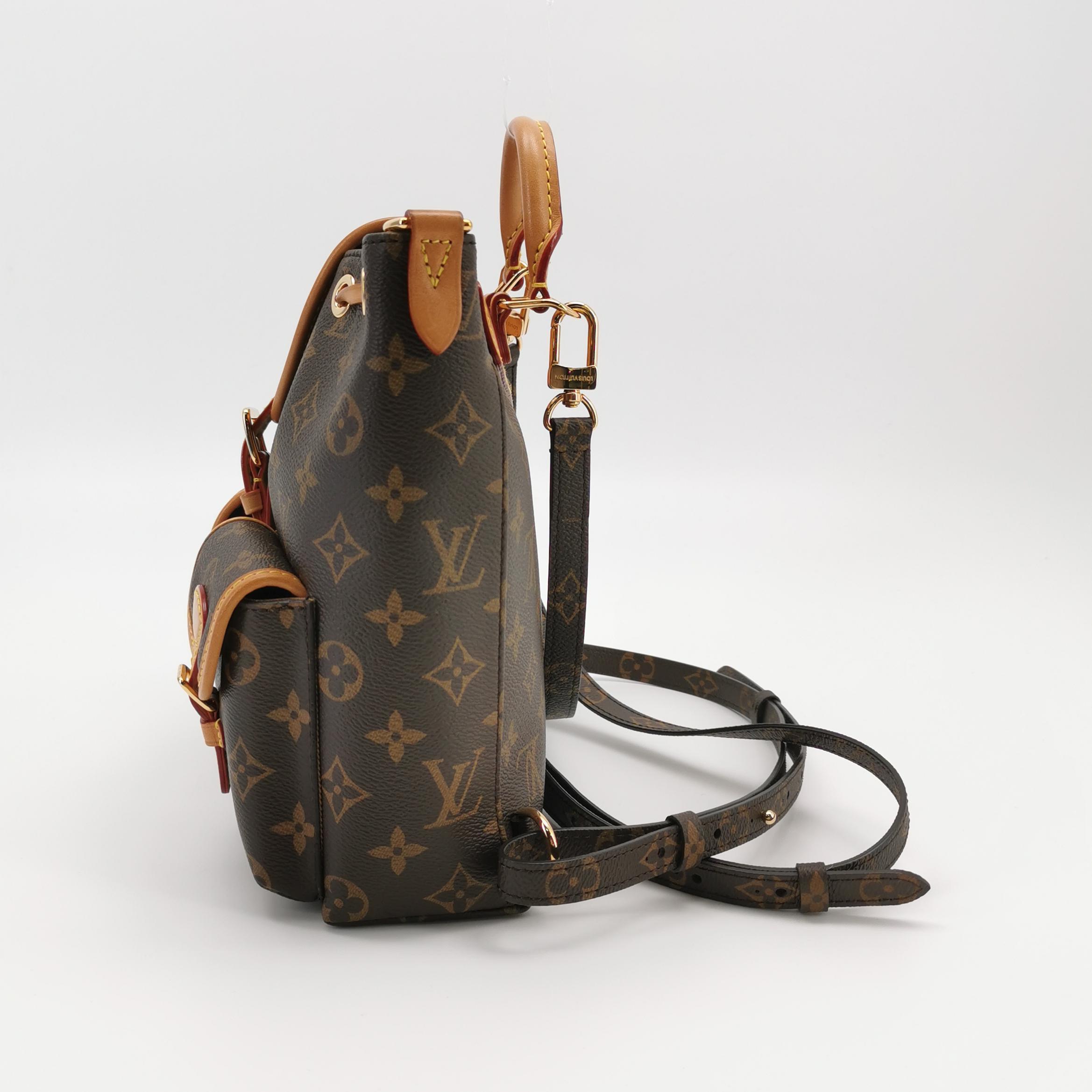 Louis Vuitton(LV) Excursion Backpack Monogram Canvas PM — photo 4 of 22