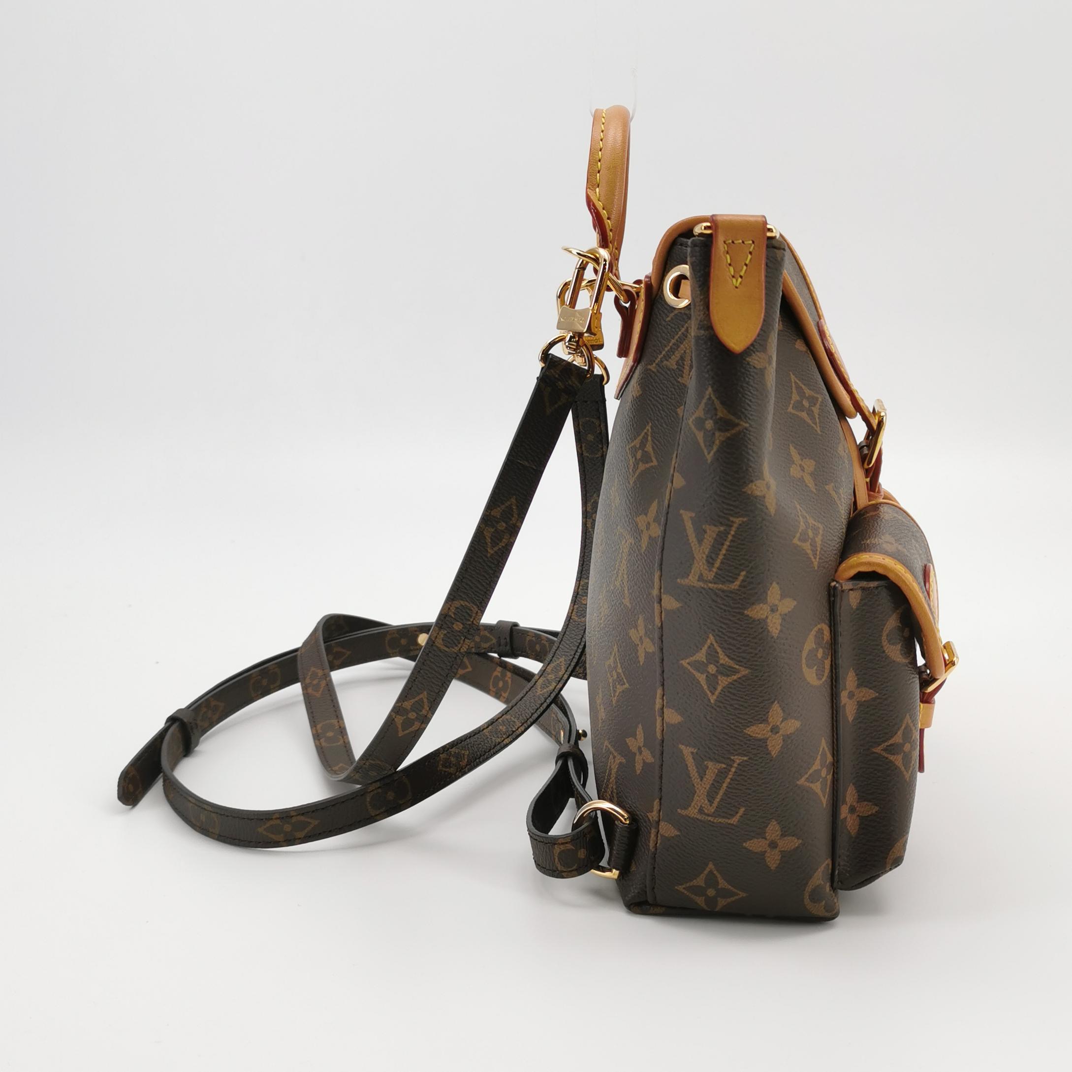 Louis Vuitton(LV) Excursion Backpack Monogram Canvas PM — photo 3 of 22