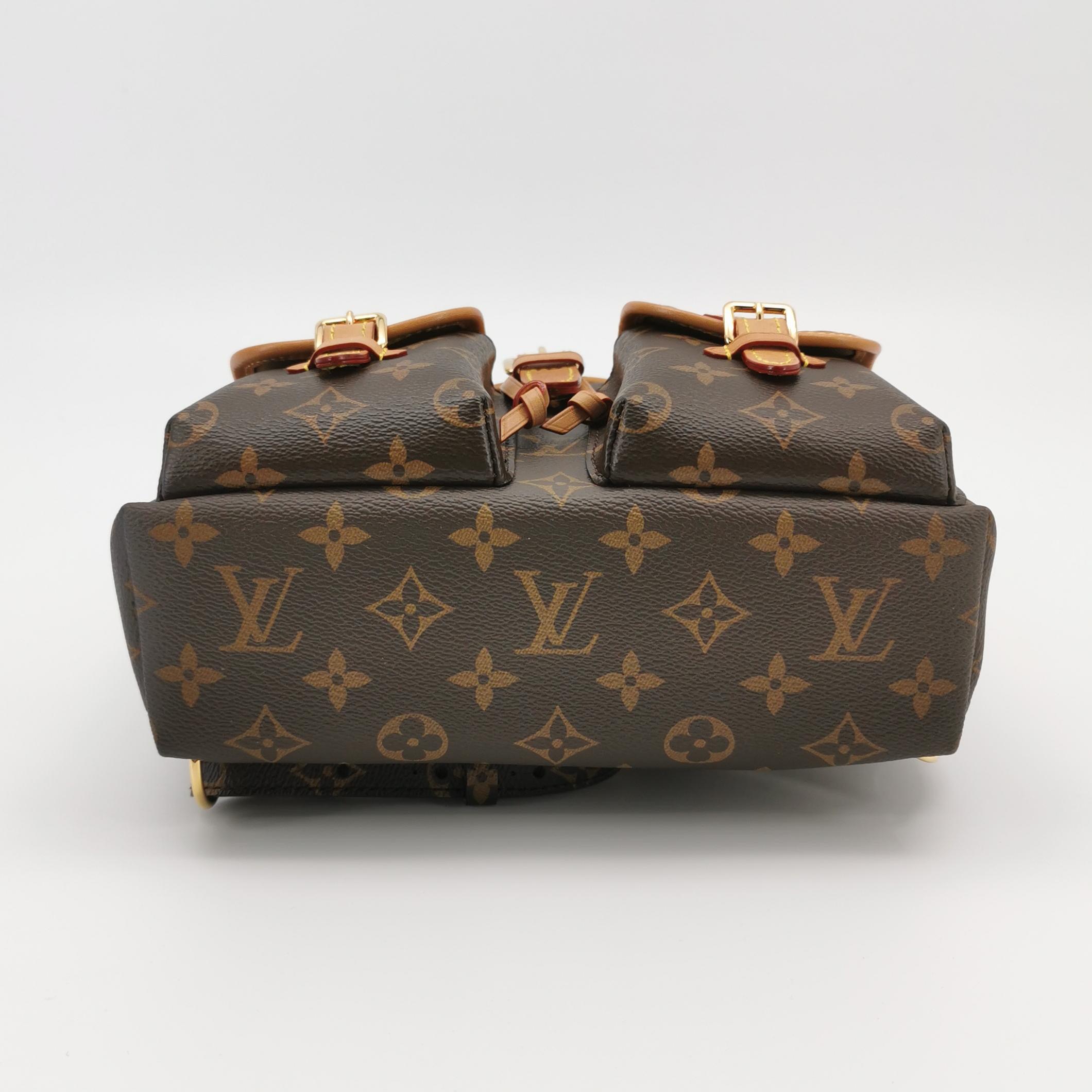 Louis Vuitton(LV) Excursion Backpack Monogram Canvas PM — photo 6 of 22