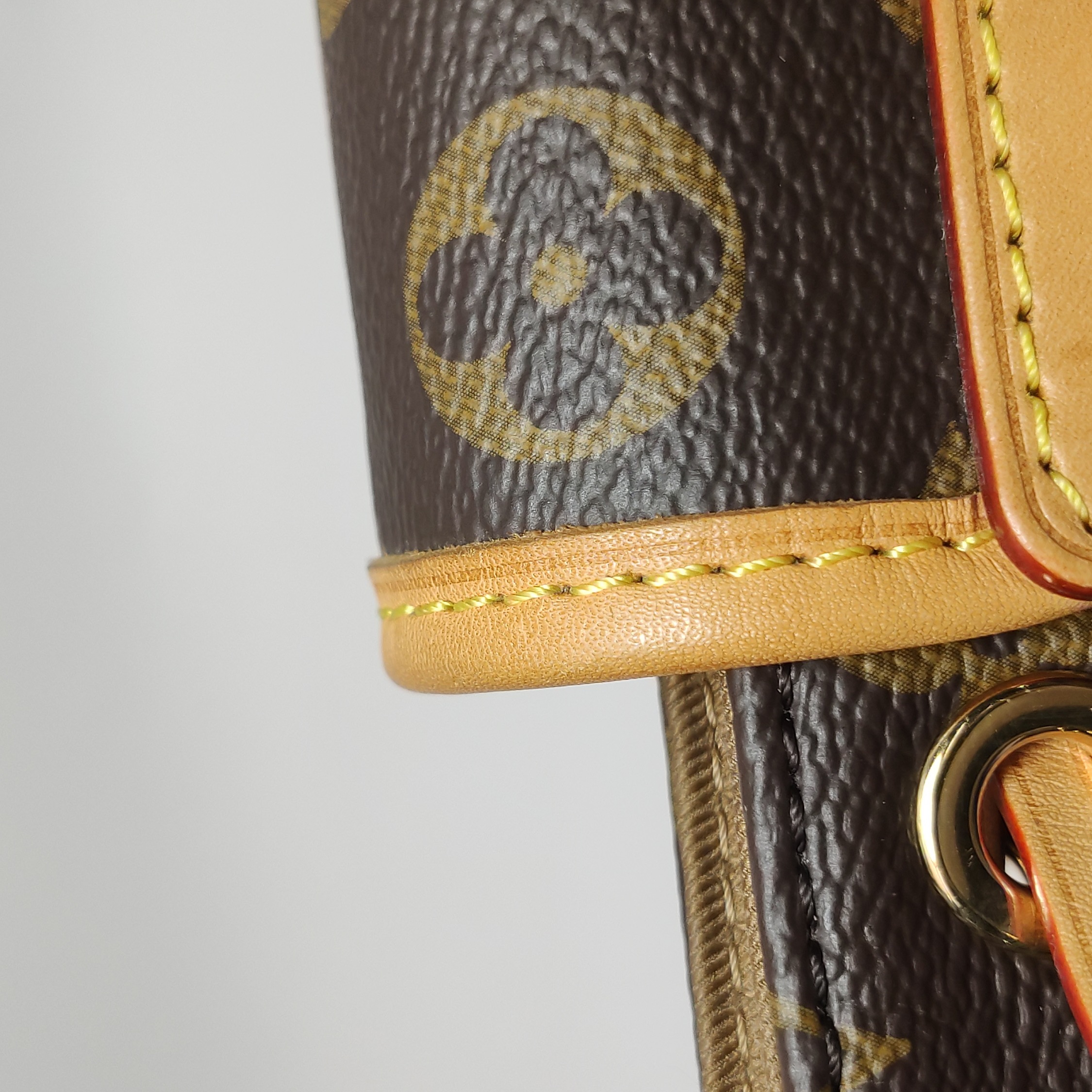 Louis Vuitton(LV) Excursion Backpack Monogram Canvas PM — photo 18 of 22