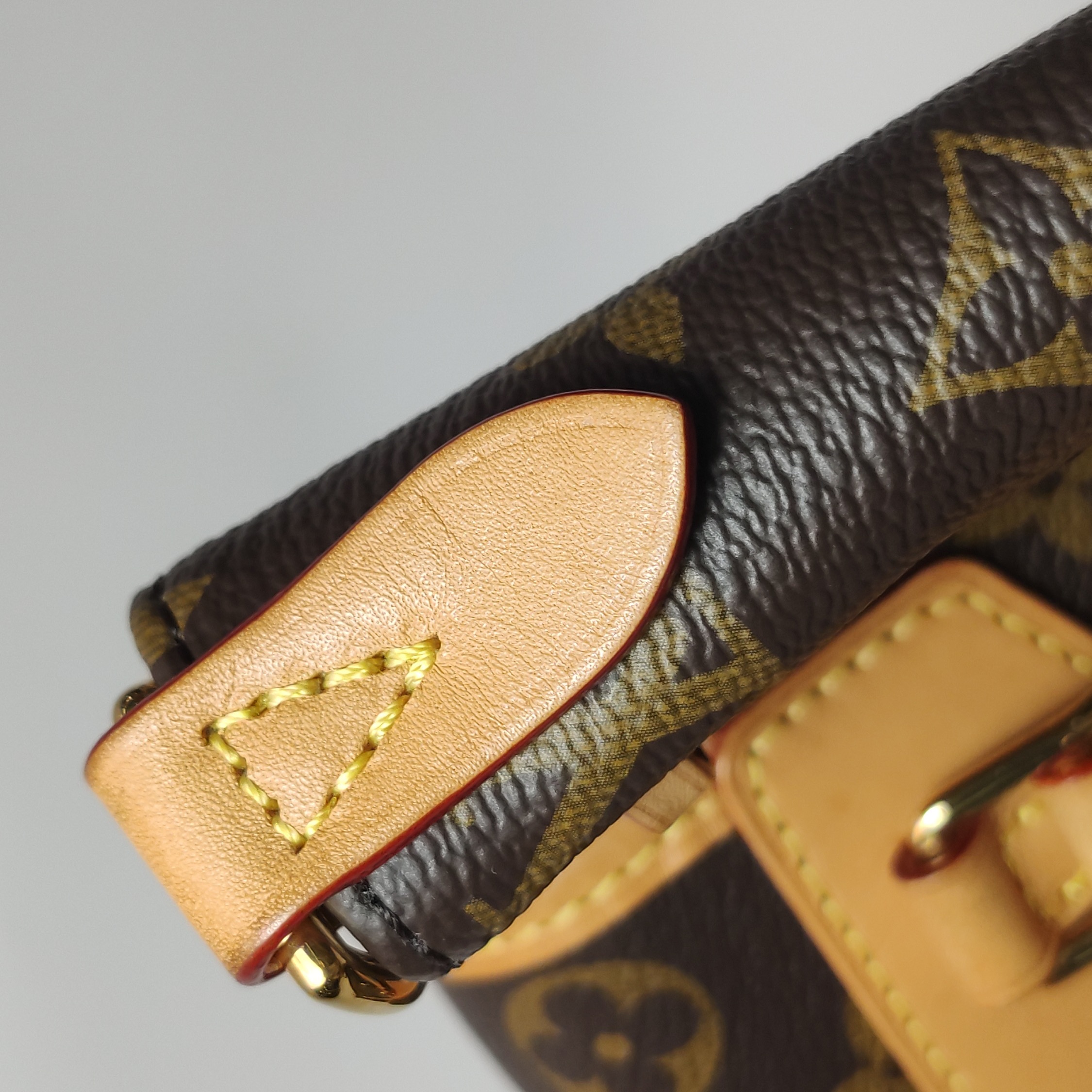 Louis Vuitton(LV) Excursion Backpack Monogram Canvas PM — photo 14 of 22