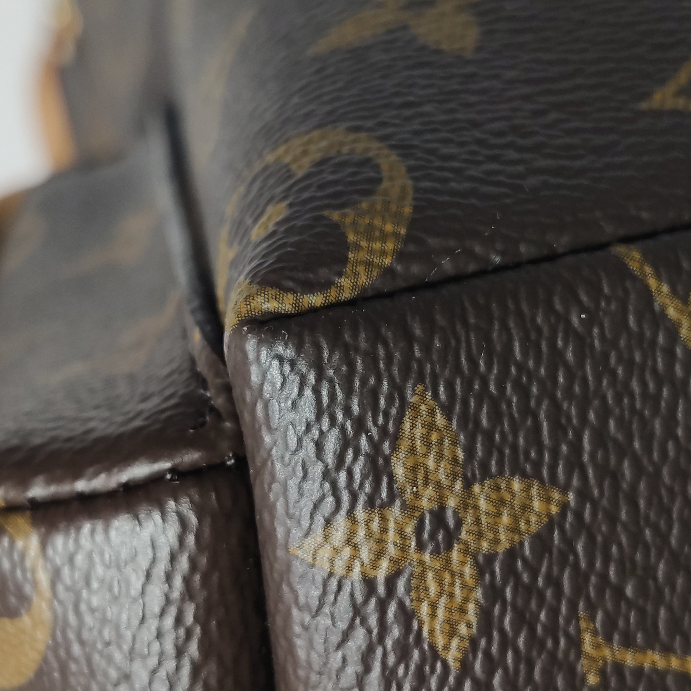 Louis Vuitton(LV) Excursion Backpack Monogram Canvas PM — photo 20 of 22