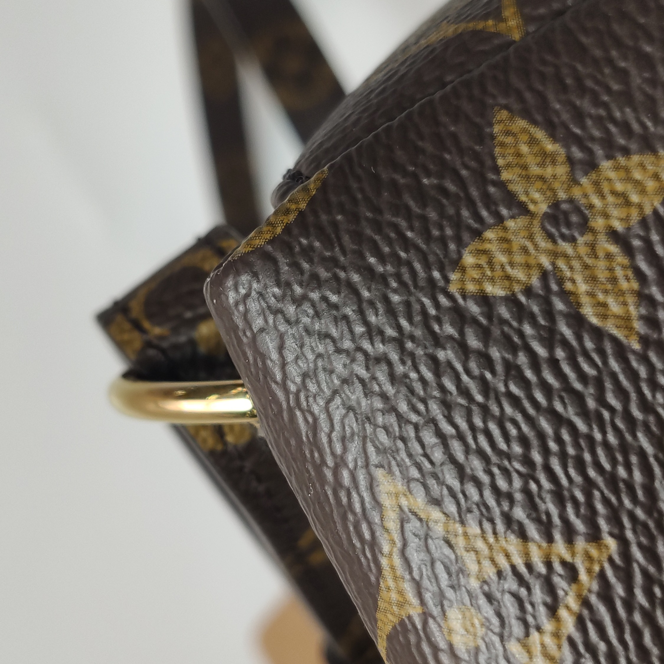 Louis Vuitton(LV) Excursion Backpack Monogram Canvas PM — photo 17 of 22