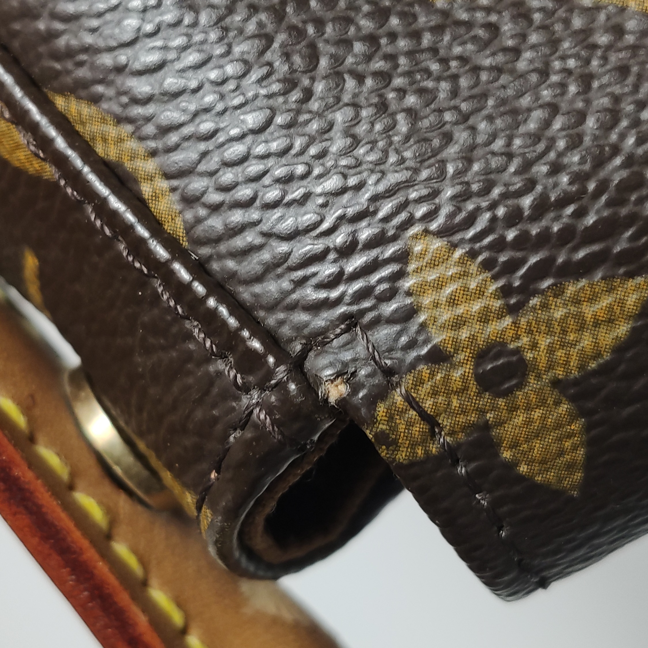 Louis Vuitton(LV) Looping Handbag Damier Mini — photo 15 of 22
