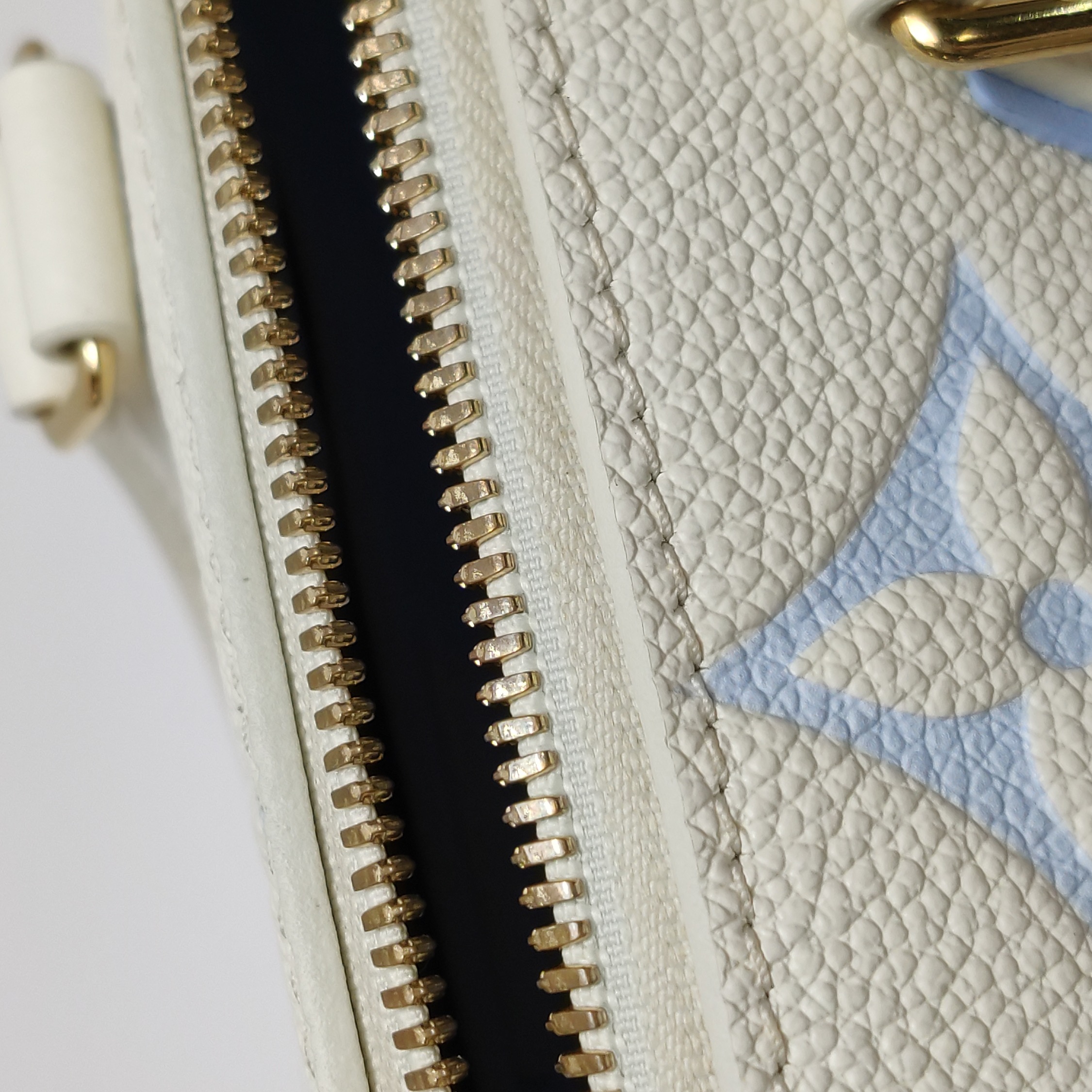 Louis Vuitton(LV) Speedy Bandouliere Bag Bicolor Monogram Empreinte Giant 20 — photo 10 of 17