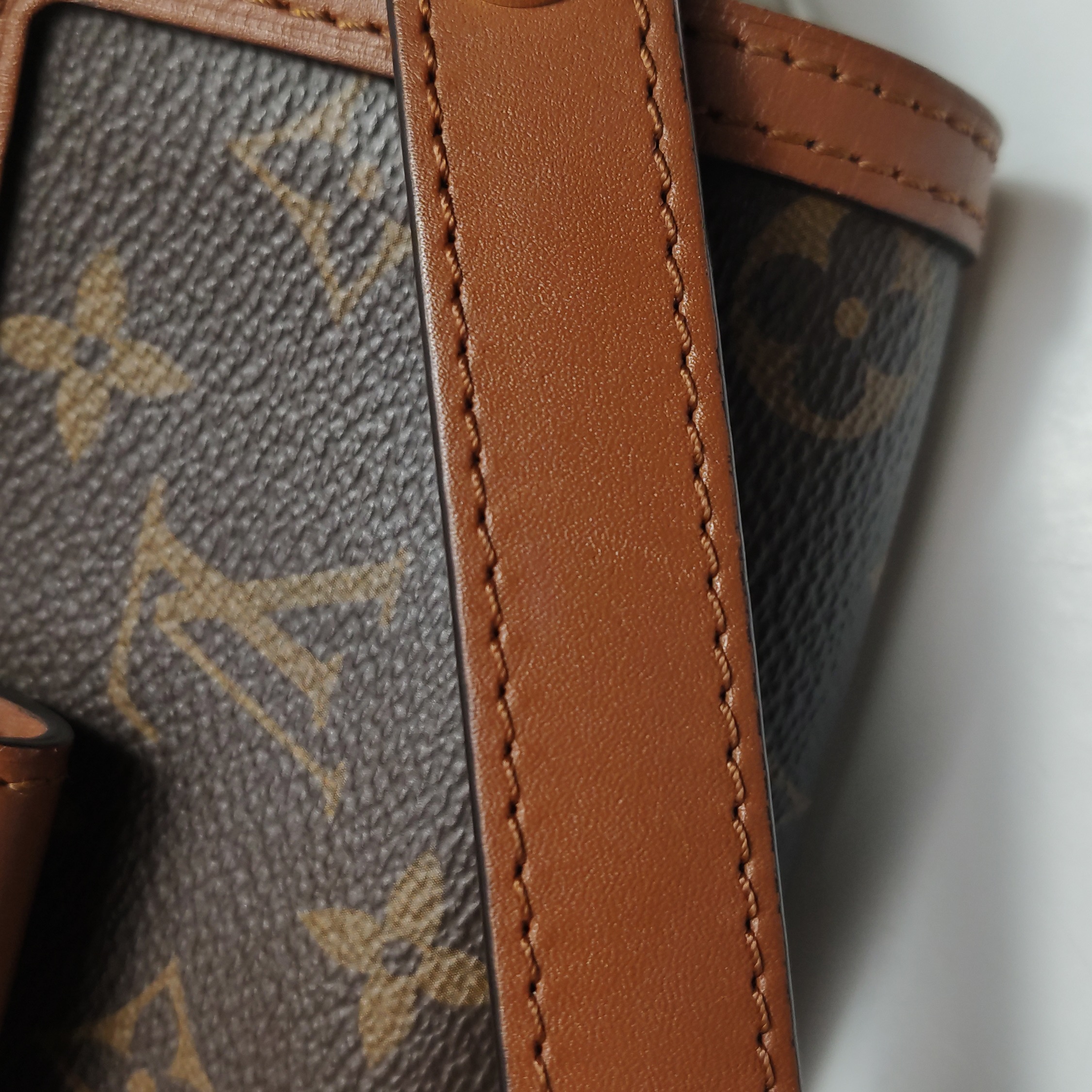 Louis Vuitton Dauphine Shoulder Bag Reverse Monogram Canvas Mini