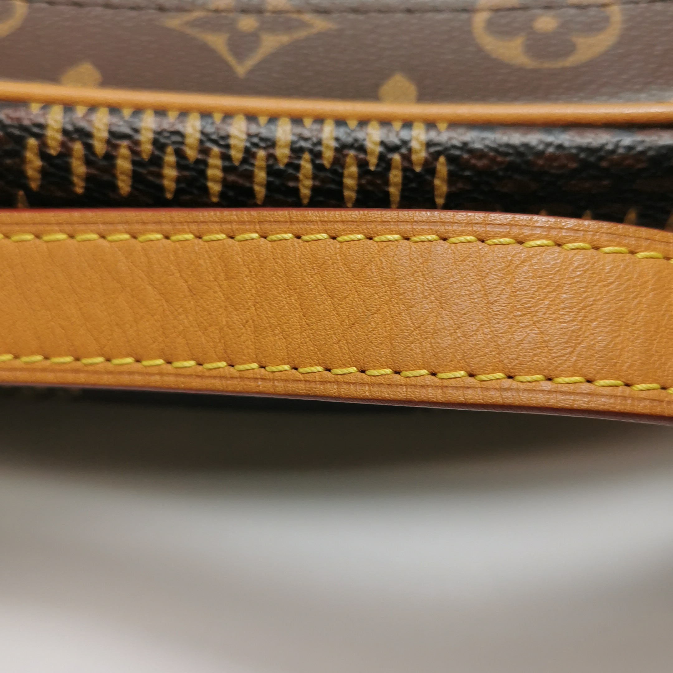 Louis Vuitton(LV) Nigo Soft Trunk Bag Limited Edition Giant Damier and Monogram Canvas Mini — photo 19 of 23