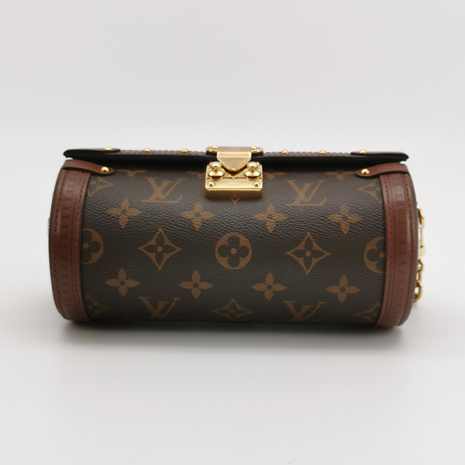 Louis Vuitton(LV) Papillon Trunk Bag Monogram Canvas — photo 6 of 22