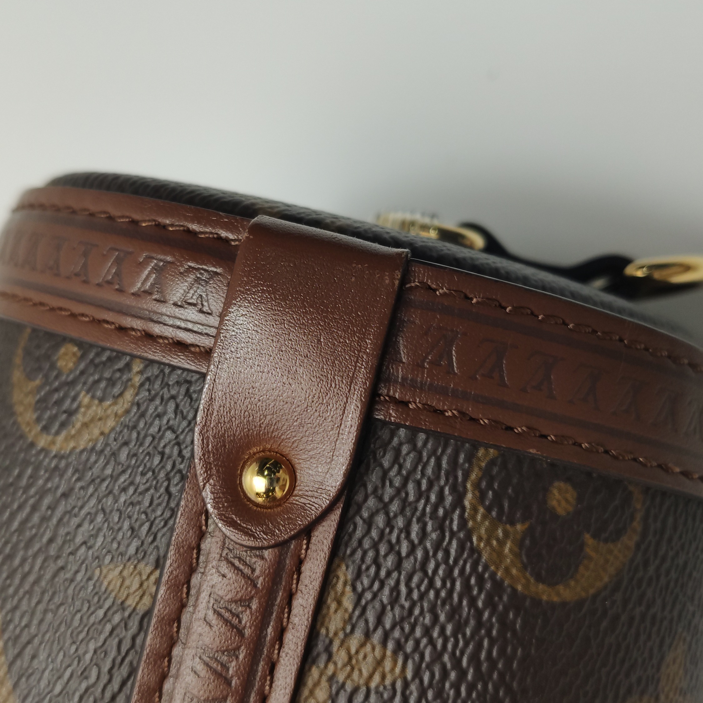 Louis Vuitton(LV) Papillon Trunk Bag Monogram Canvas — photo 13 of 22