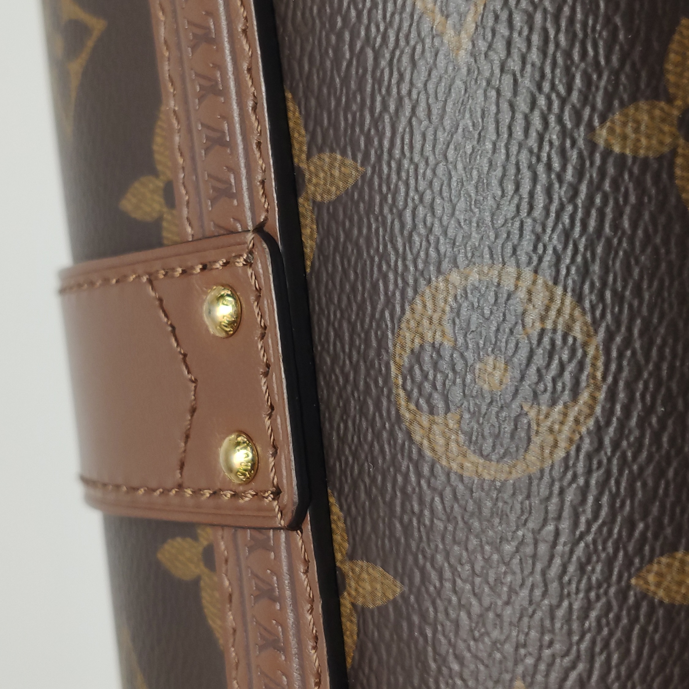 Louis Vuitton(LV) Papillon Trunk Bag Monogram Canvas — photo 16 of 20