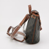 Celine Folco Backpack Triomphe Coated Canvas Mini — thumbnail 3