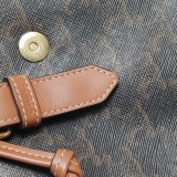 Celine Folco Backpack Triomphe Coated Canvas Mini — thumbnail 13