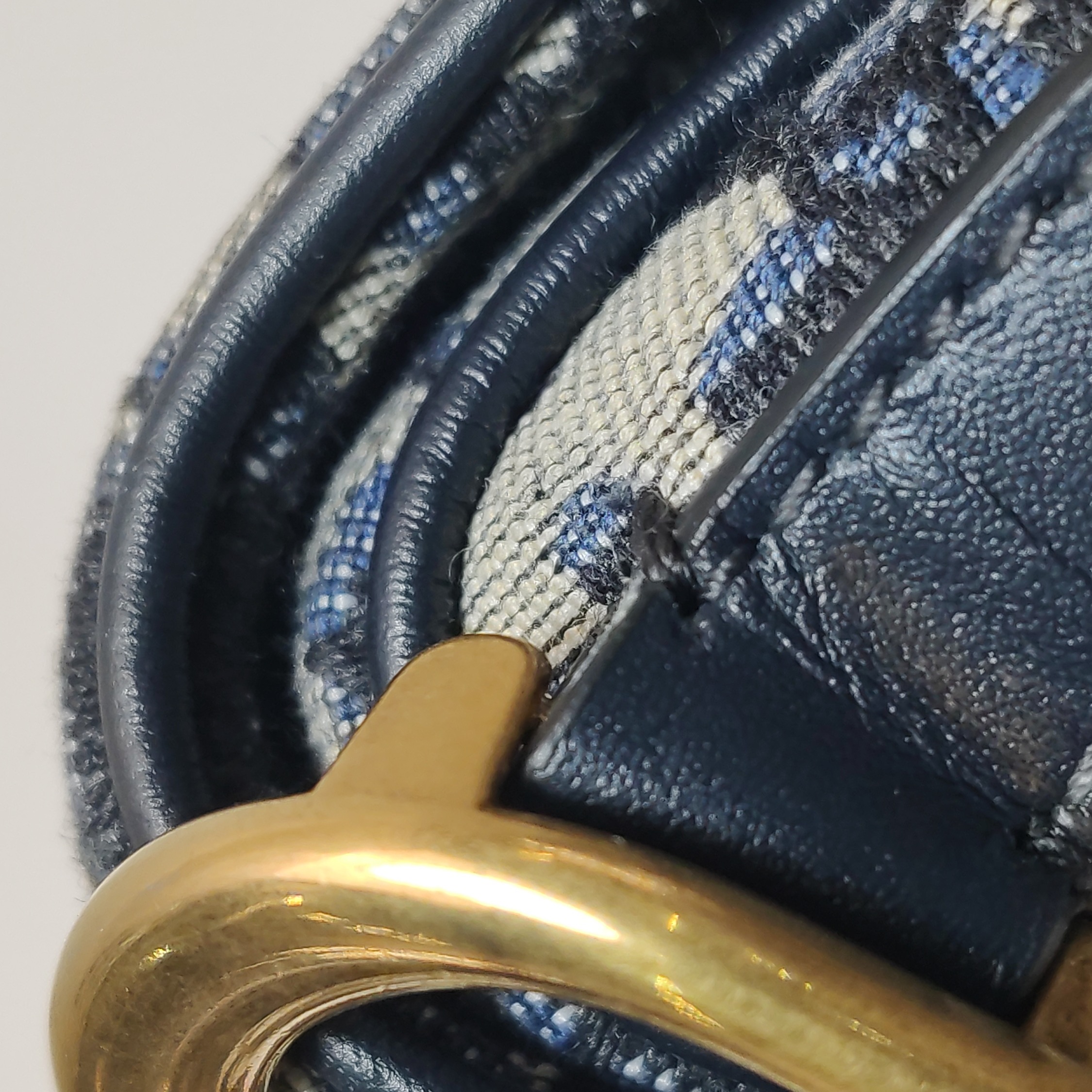 Christian Dior Saddle Handbag with Strap Oblique Canvas Mini — photo 16 of 20