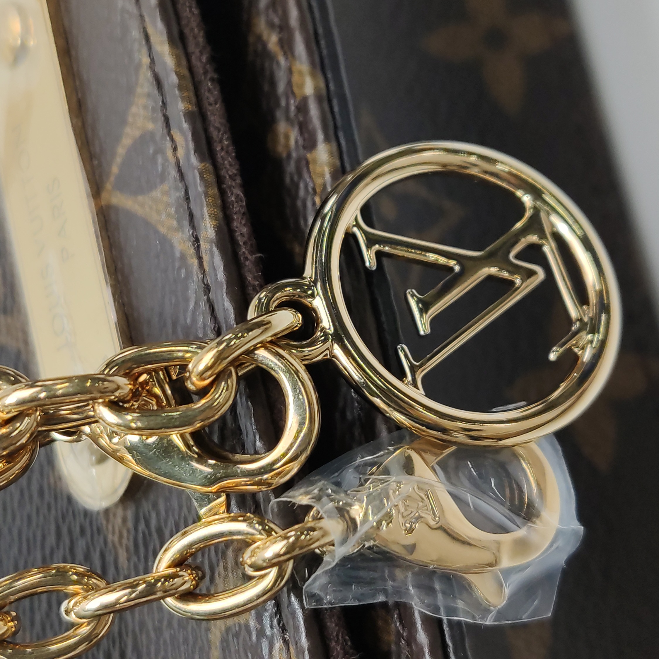 Louis Vuitton(LV) Lily Wallet on Chain Monogram Canvas — photo 8 of 15