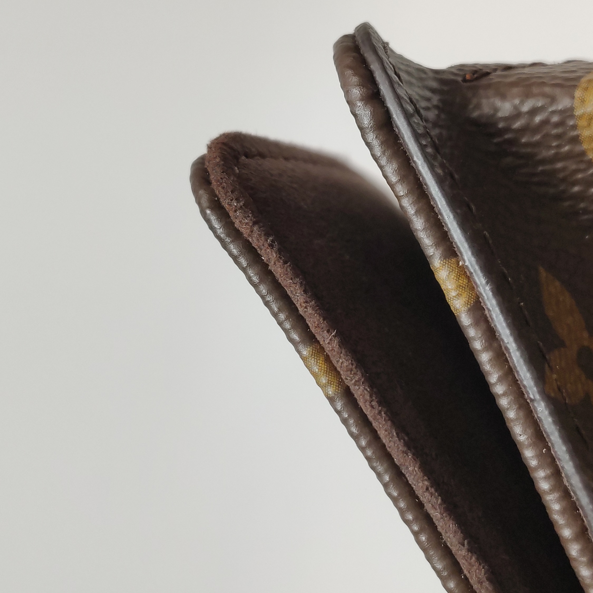 Louis Vuitton(LV) Lily Wallet on Chain Monogram Canvas — photo 15 of 15