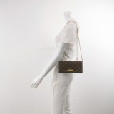 Louis Vuitton(LV) Lily Wallet on Chain Monogram Canvas — thumbnail 2