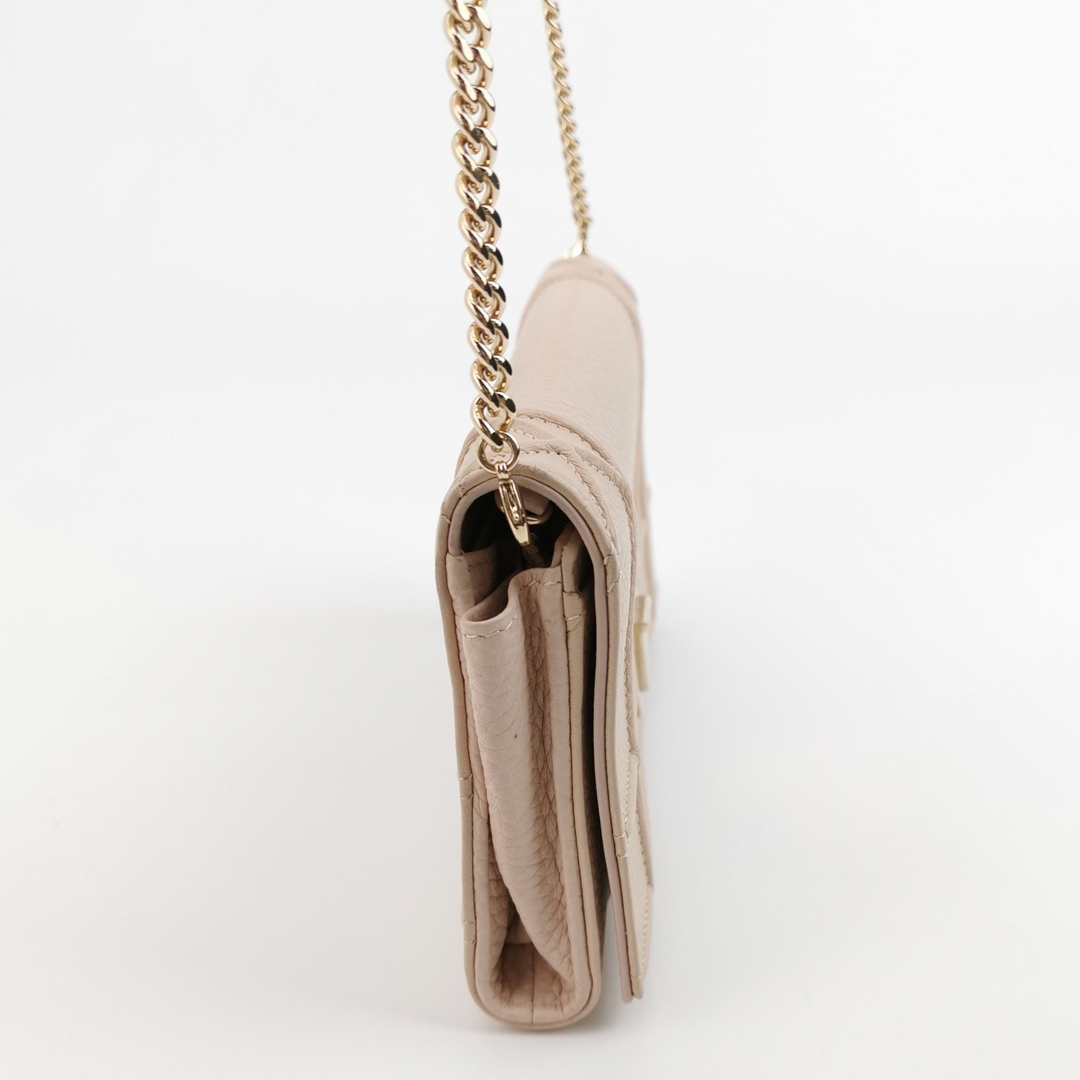 Dior Diorama Croisiere Chain Wallet Lambskin — photo 3 of 19