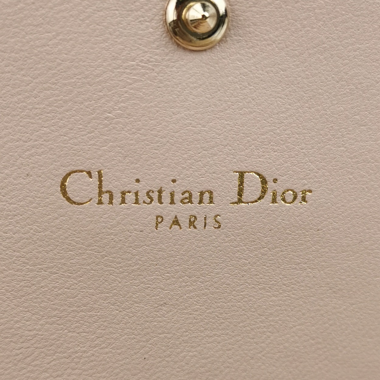 Dior Diorama Croisiere Chain Wallet Lambskin — photo 9 of 19