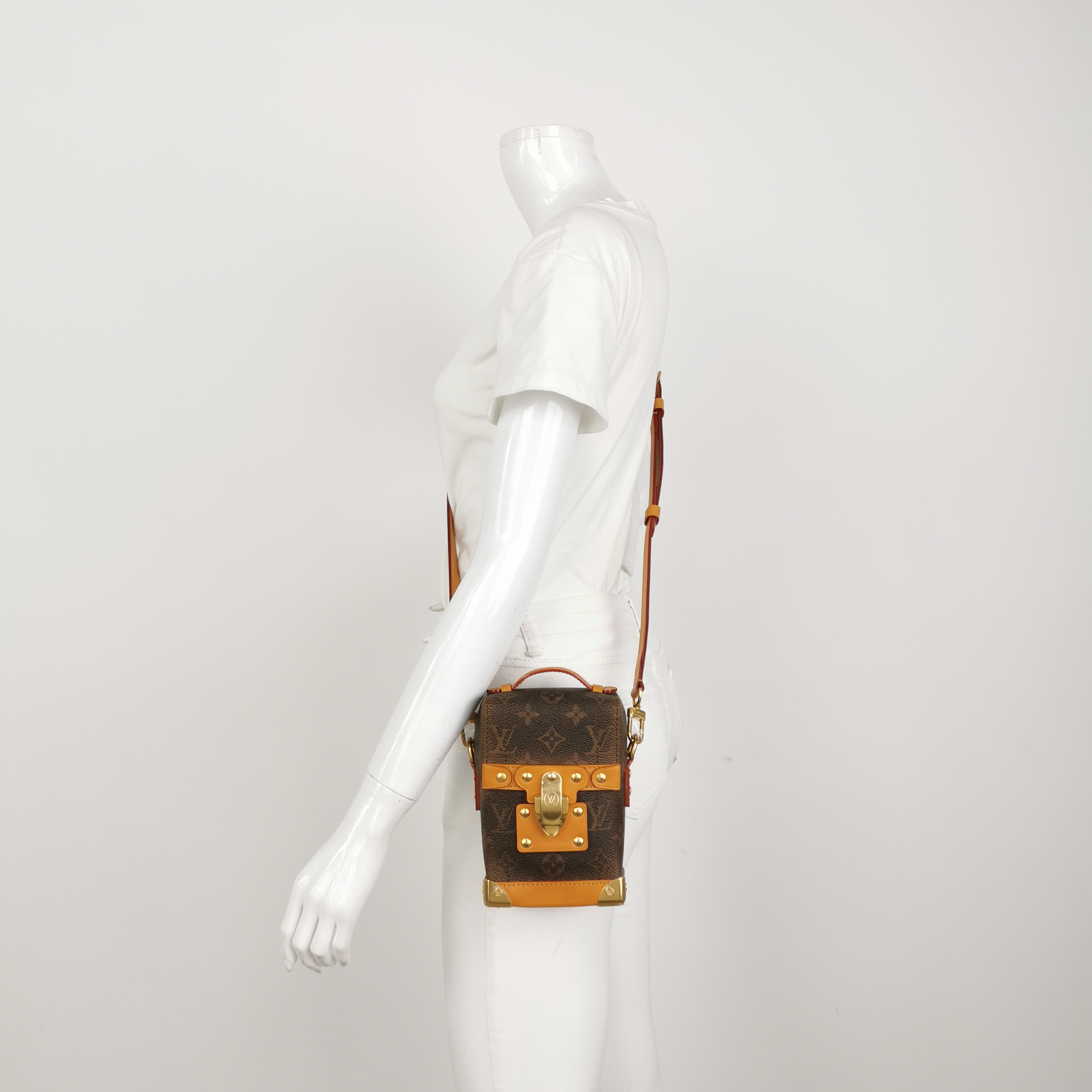 Louis Vuitton(LV) Soul Trunk Bag Monogram Dust — alternate view