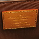 Louis Vuitton(LV) Soul Trunk Bag Monogram Dust — thumbnail 9