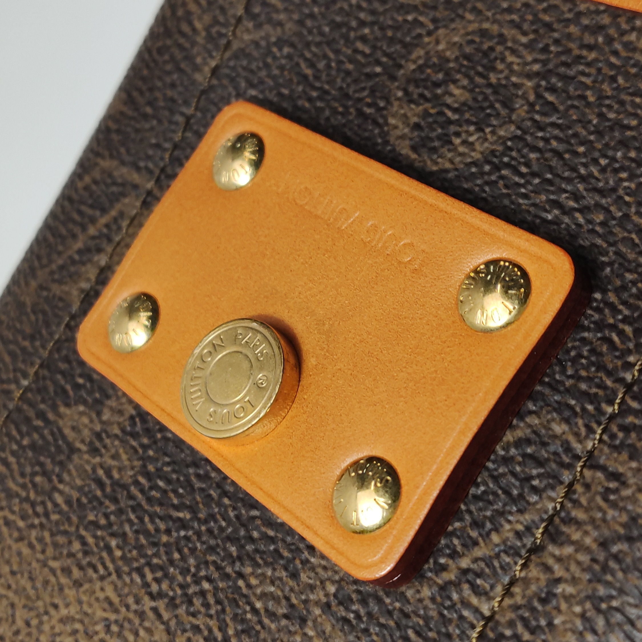 Louis Vuitton(LV) Soul Trunk Bag Monogram Dust — photo 13 of 14