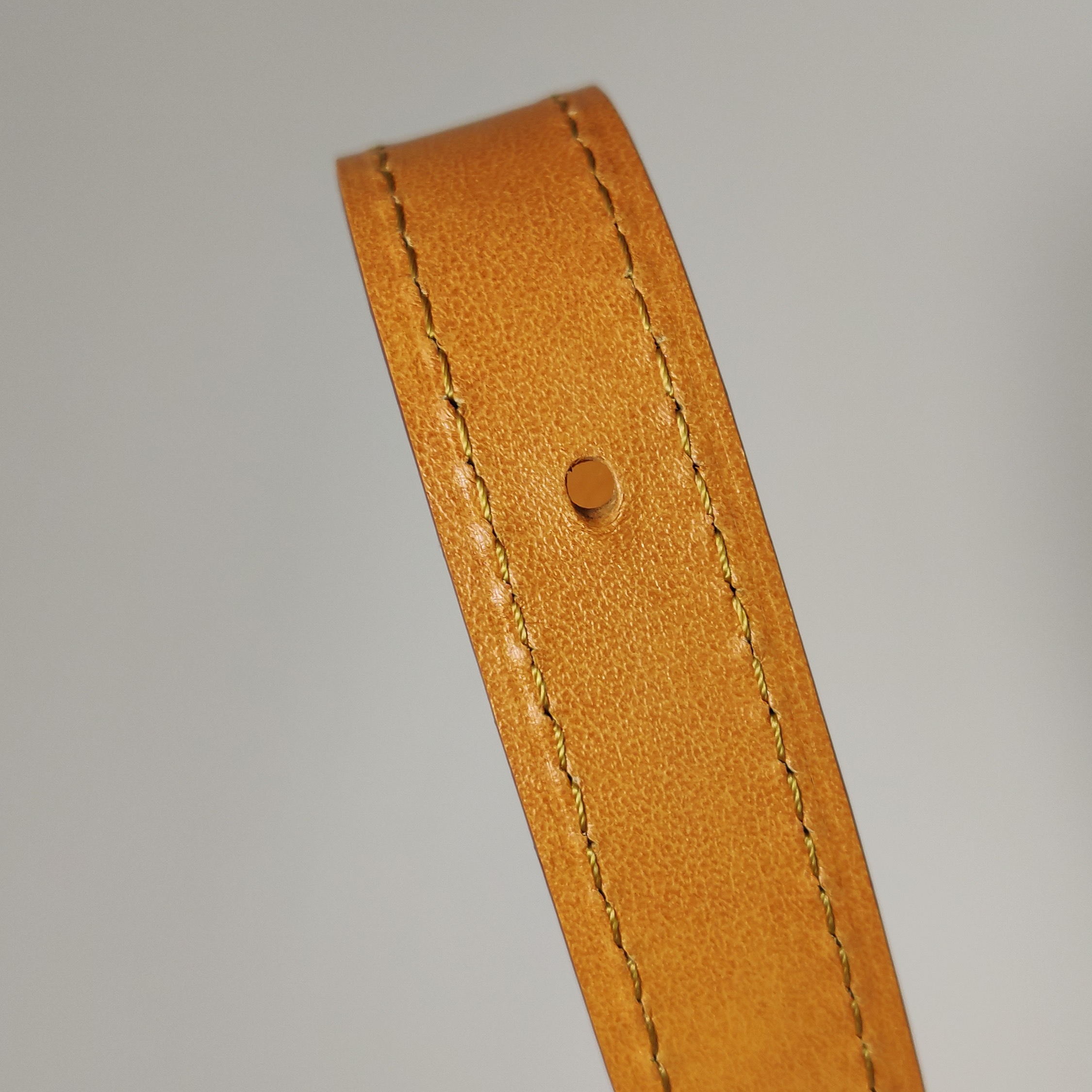 Louis Vuitton(LV) Soul Trunk Bag Monogram Dust — photo 14 of 14