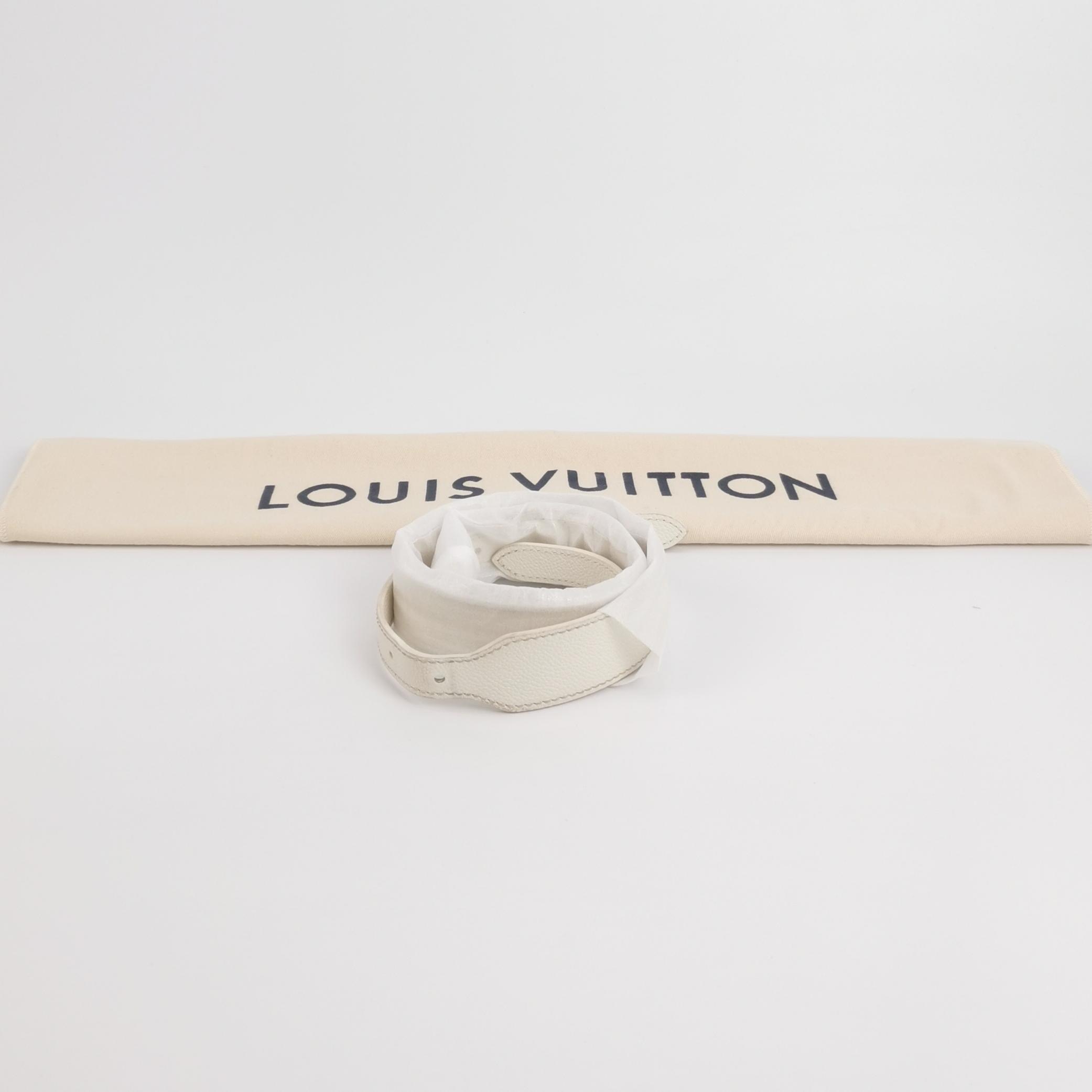 Louis Vuitton CarryAll Hobo Monogram Empreinte Giant PM