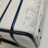 Christian Dior Vibe Zip Bowling Bag Oblique Perforated and Embossed Calfskin Small — thumbnail 14