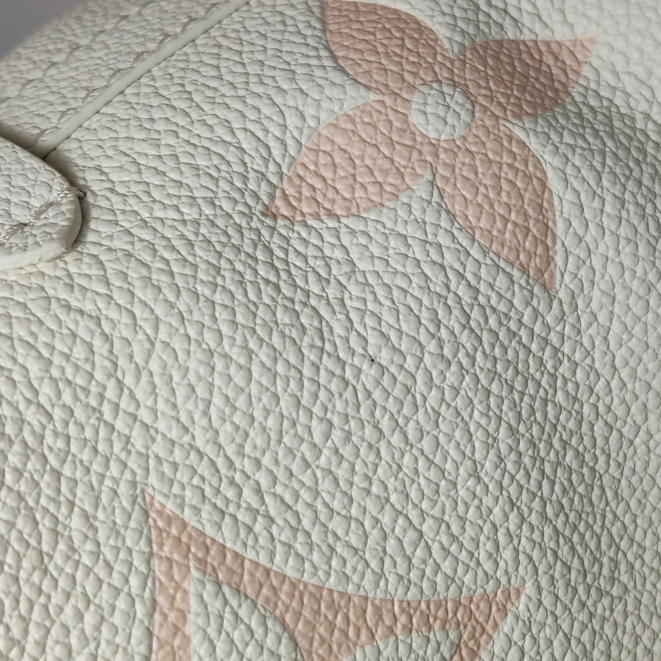 Louis Vuitton CarryAll Hobo Monogram Empreinte Giant PM